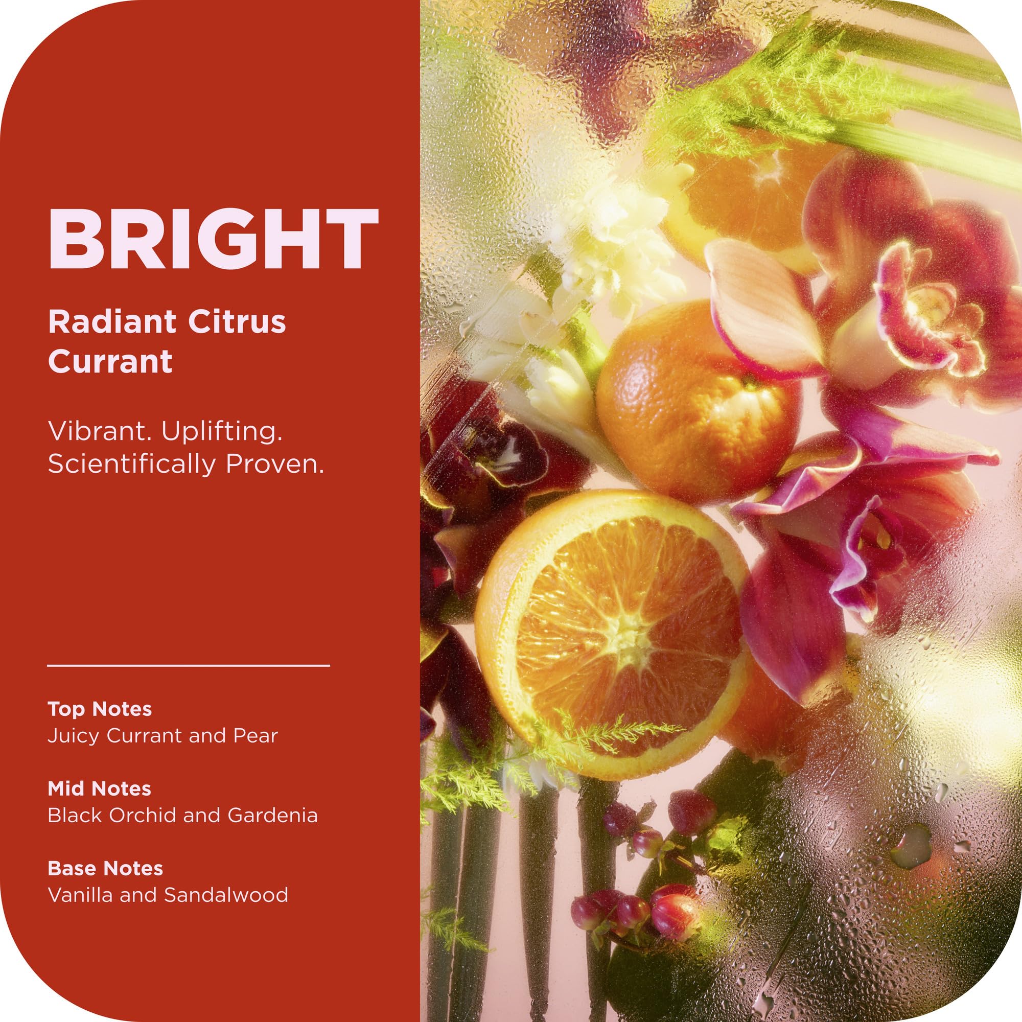 OLLY Bright Body Wash with Ginseng, Caffeine & Vitamin C– Nourishing Cleanser for Skin Barrier Repair, Deep Hydration, Citrus Currant Scent, 17 oz