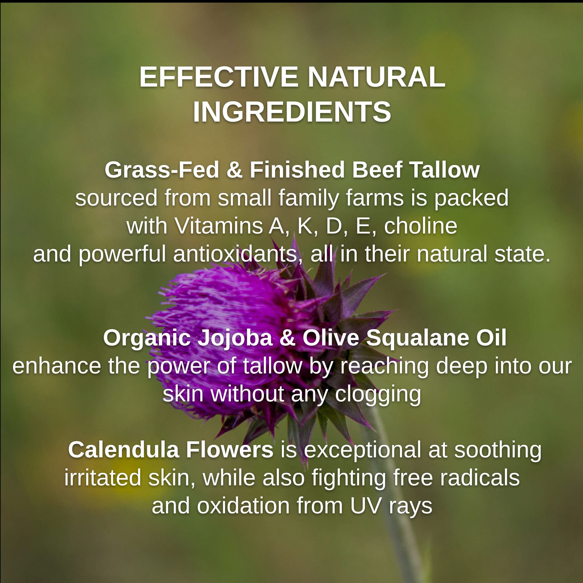 Shwally Primal Beauty Squalane Face Balm, Paleo and Non-comodegenic, The West Coast Original, With Squalane and Calendula Flower, Unscented