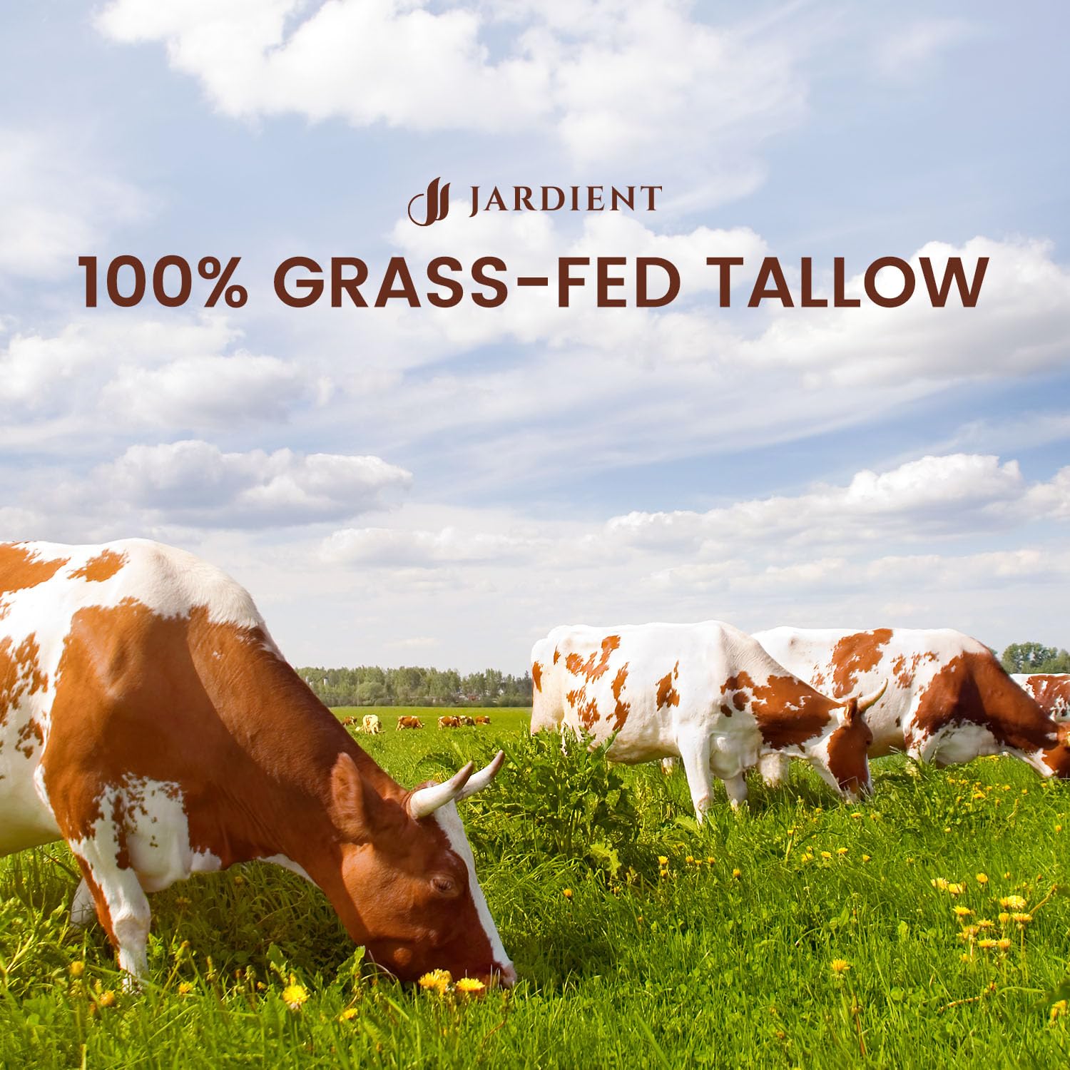 Jardient Beef Tallow Honey Balm for Skin: 100% Grass-Fed Beef Tallow Moisturizer For Face and Body - Organic Moisturizer Cream with Olive Oil Manuka Honey for Eczema and Dry Skin 2OZ