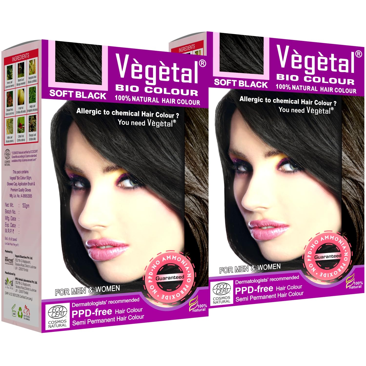 Vegetal Bio Hair Colour Soft Black 50g (Pack of 2) Achieve Natural, Ammonia-Free Hair Color PPD-Free, 100% Herbal Certified Organic for Men & Women UV Protection & Luster Maintenance Complete Kit