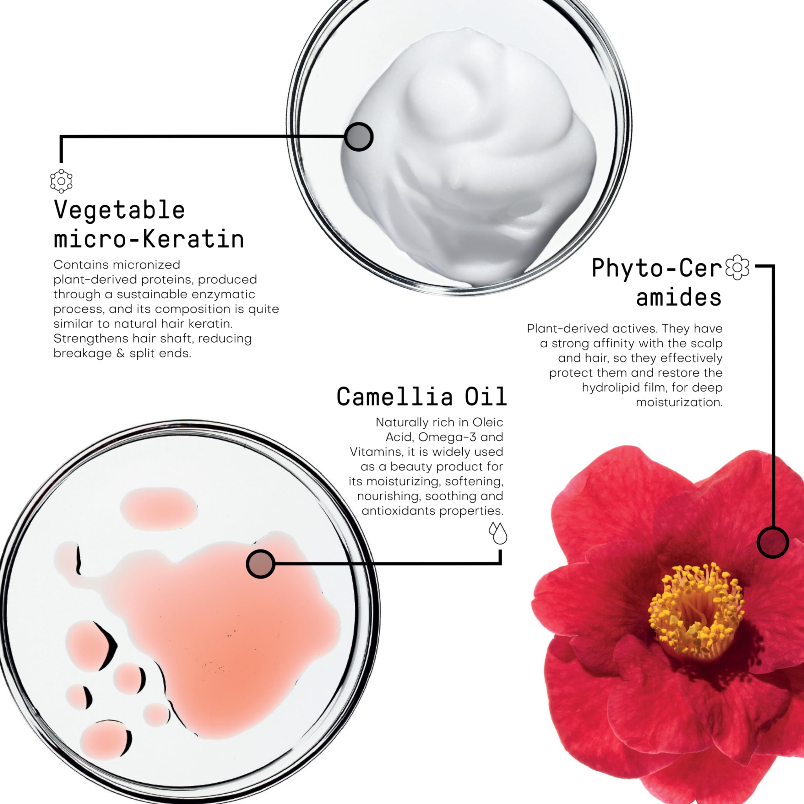 FRAMESI Morphosis Repair Rich Hair Treatment 8.4 fl oz