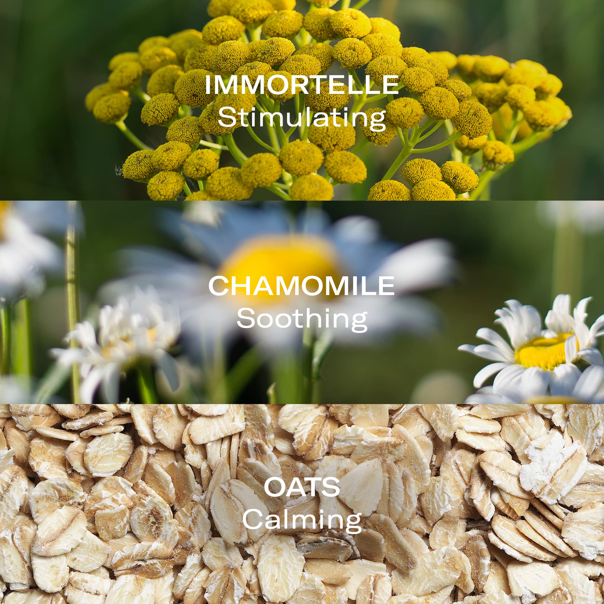 Aloe + Immortelle Hydra-Repair Treatment Mist