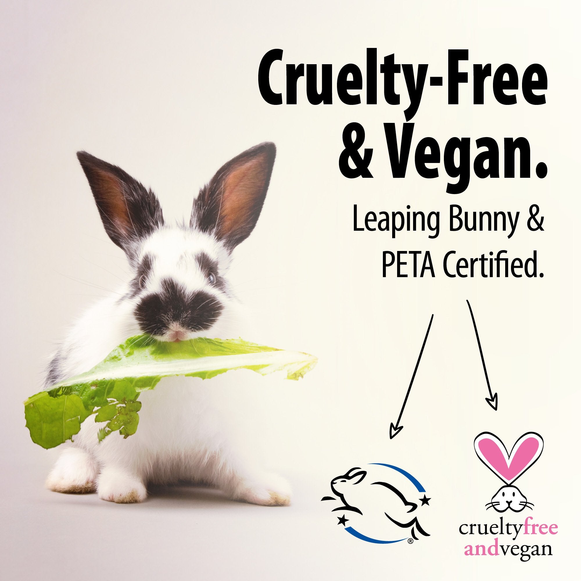 BALI SECRETS All Natural Deodorant. Pure & Simple Ingredients. Organic & Vegan. All Day Protection. [Scent: Sandalwood]