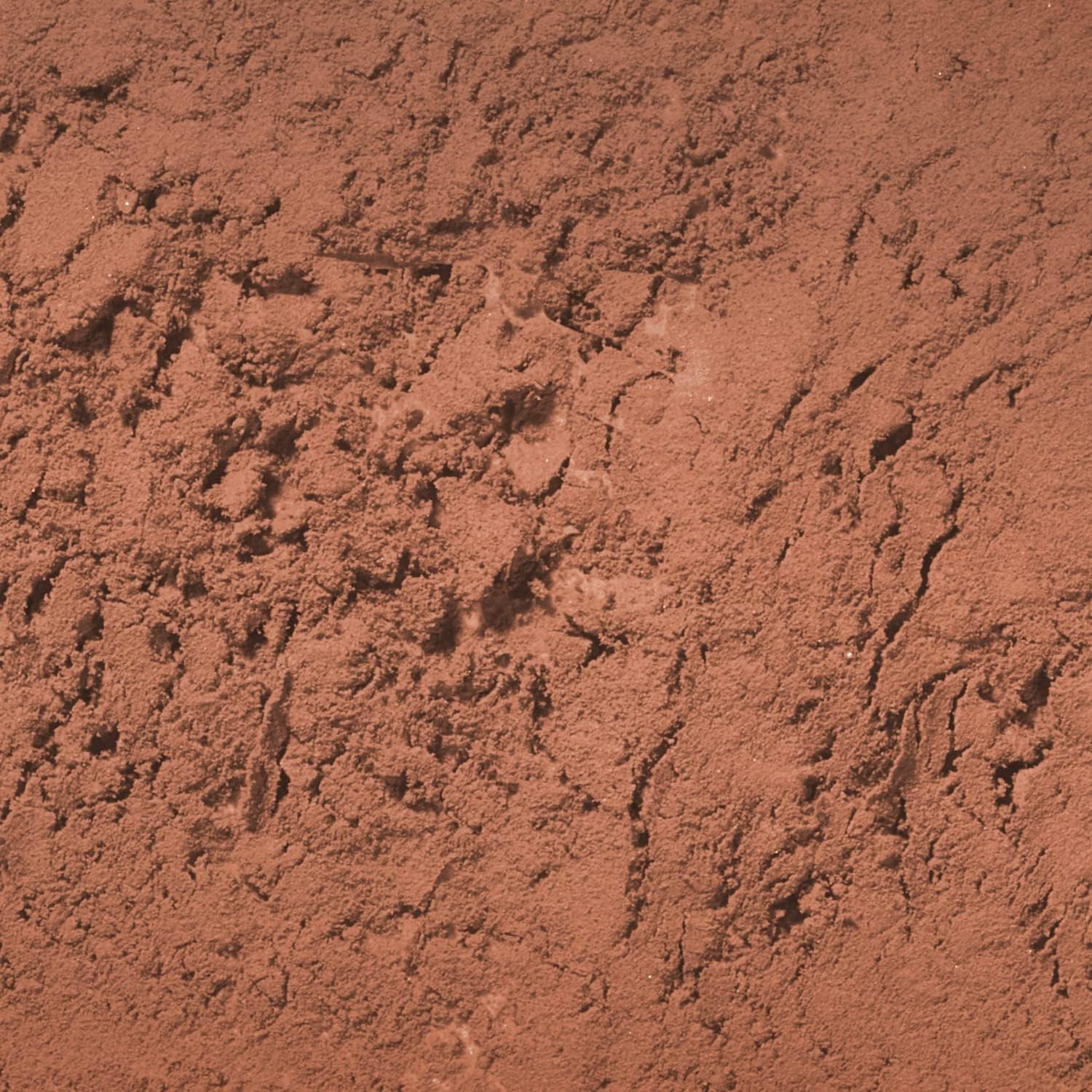 Palladio Brow Powder for Eyebrows, Auburn