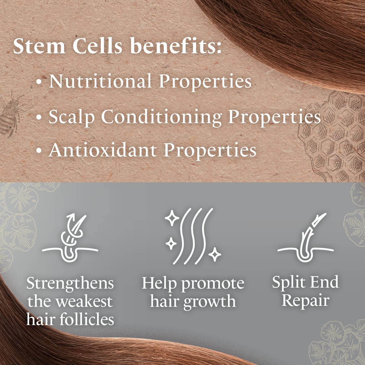 Tio Nacho Conditioner, Purifying with Royal Jelly, Infused with Botanical Stem Cells for Intense Hair and Scalp Purification + Detoxifying Balance, 14 Fluid Ounces