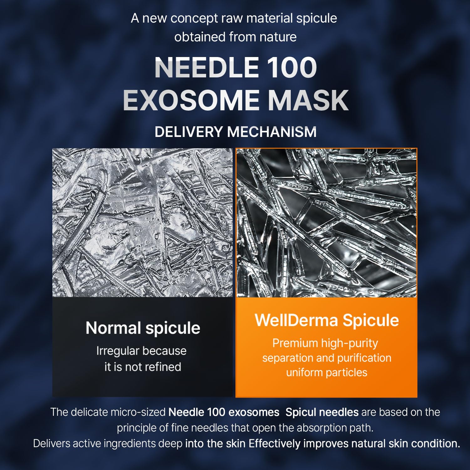 WELLDERMA Spicule Shot 100 milk exosome Mask 5eaIntensive pore elasticity care Korean skin care