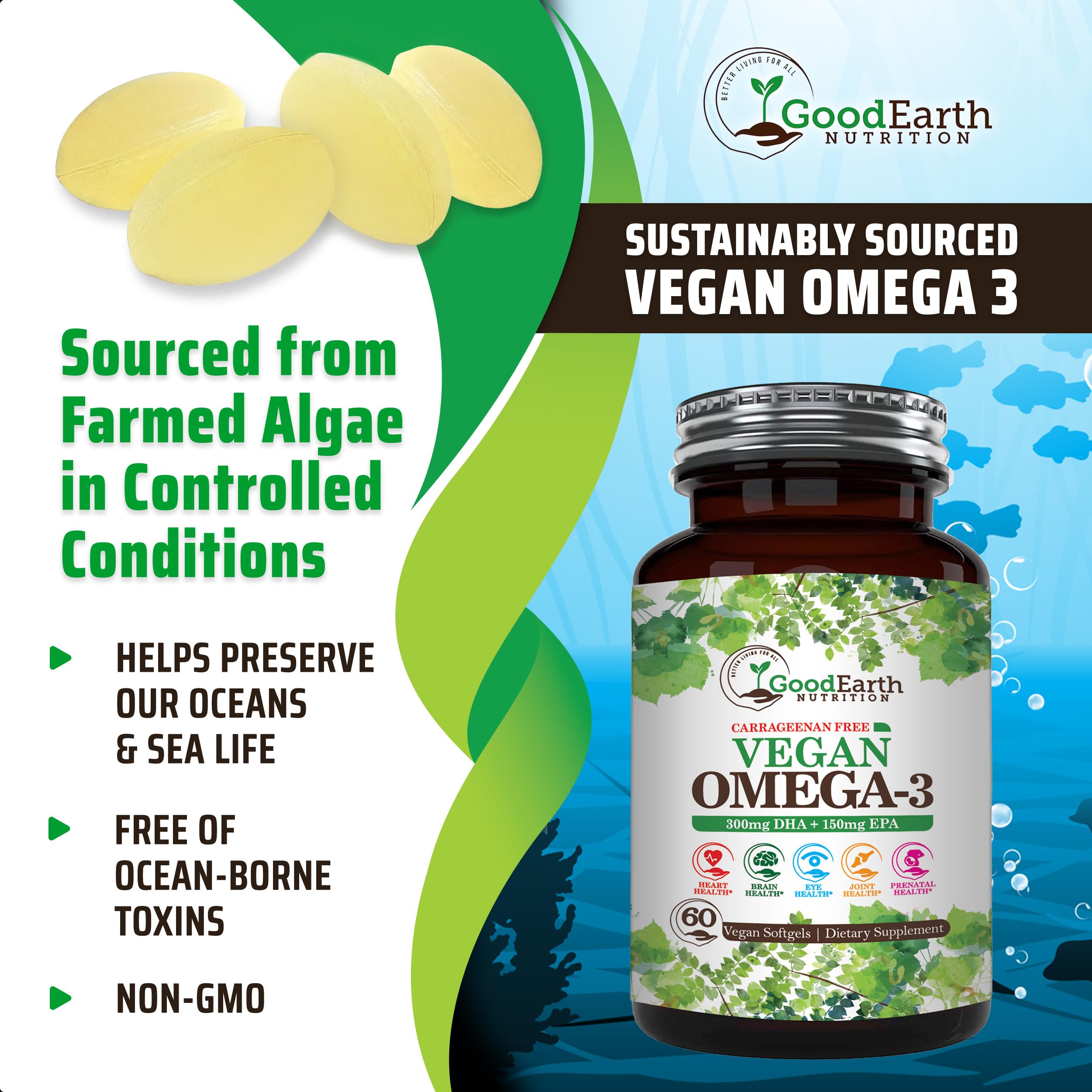 Vegan Omega 3 - Carrageenan Free Plant Based Algal DHA/EPA- 60 Veggie Softgels - Supports Brain, Heart, Joints & Prenatal Health - Essential Fatty Acids Supplements