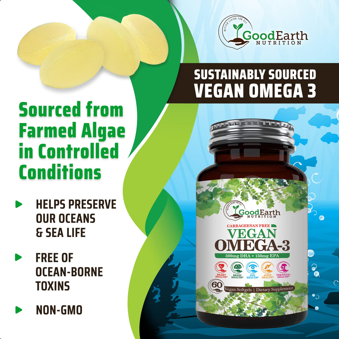 Vegan Omega 3 - Carrageenan Free Plant Based Algal DHA/EPA- 60 Veggie Softgels - Supports Brain, Heart, Joints & Prenatal Health - Essential Fatty Acids Supplements