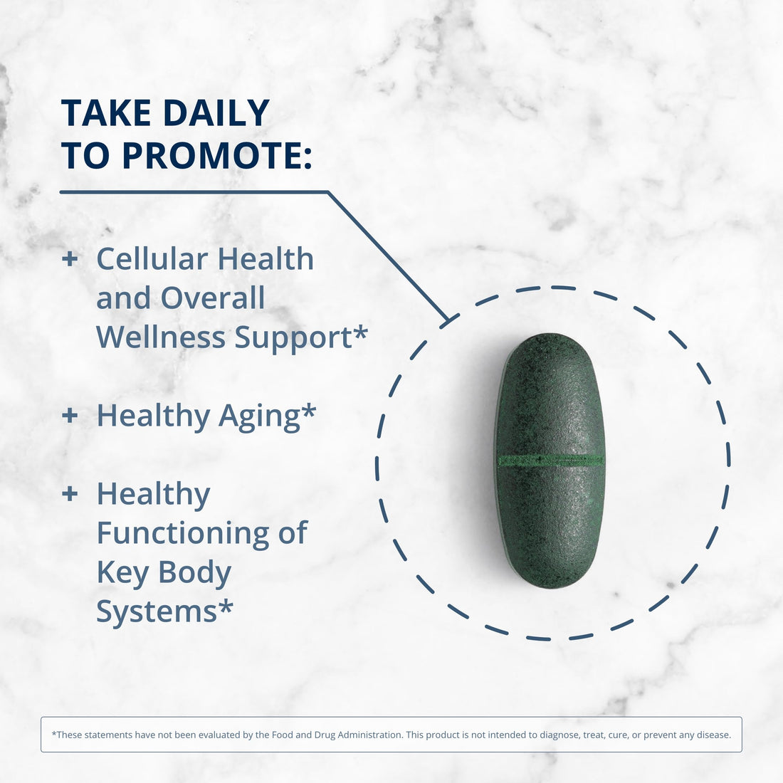 Metagenics PhytoMulti Multivitamin with Iron - Daily Multivitamins with Phytonutrients - Multivitamin for Men & Women - PhytoMulti Vitamin Supplement - with Iron, Zinc & B6 Vitamins - 60 Tablets