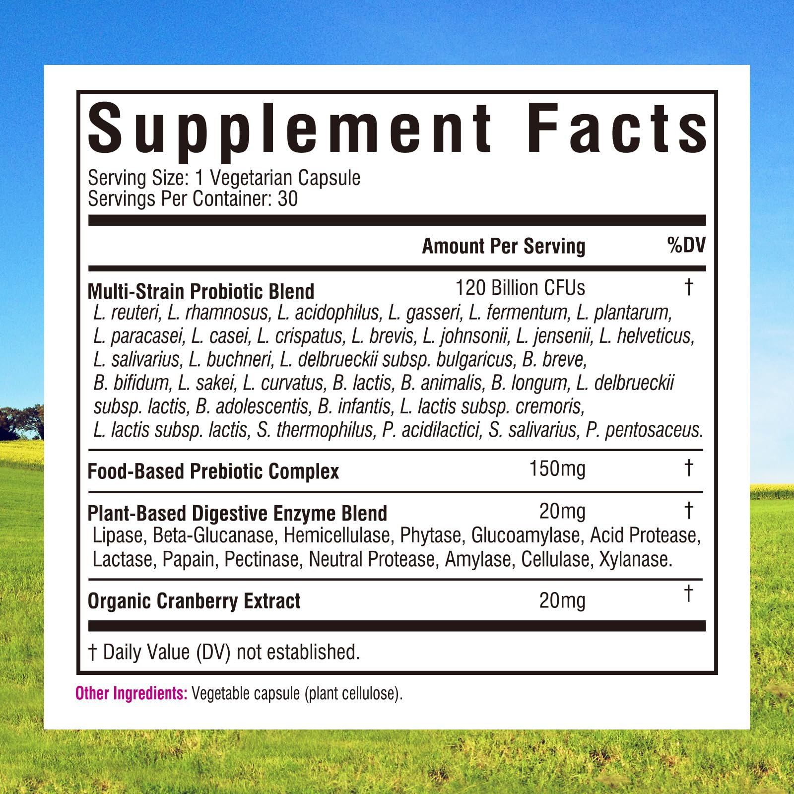 Innate Vitality Women's Probiotics, 120 Billion CFU, 32 Tested Strains, Probiotics for Women, Yeast Control, Vaginal pH Support, Prebiotics, Digestive Enzymes, Cranberry, Once Daily 30 Veggie Capsules