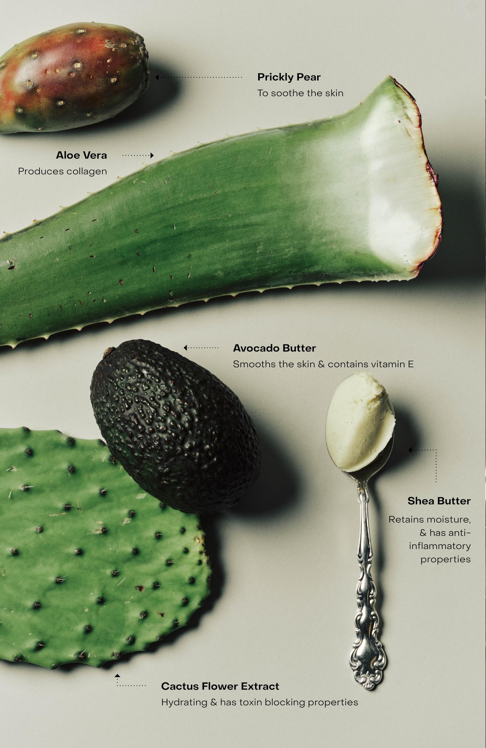 SIDIA - Soaked: The Cream | Cruelty-Free, Plant-Based, Clean Beauty (12 fl oz | 350 mL)