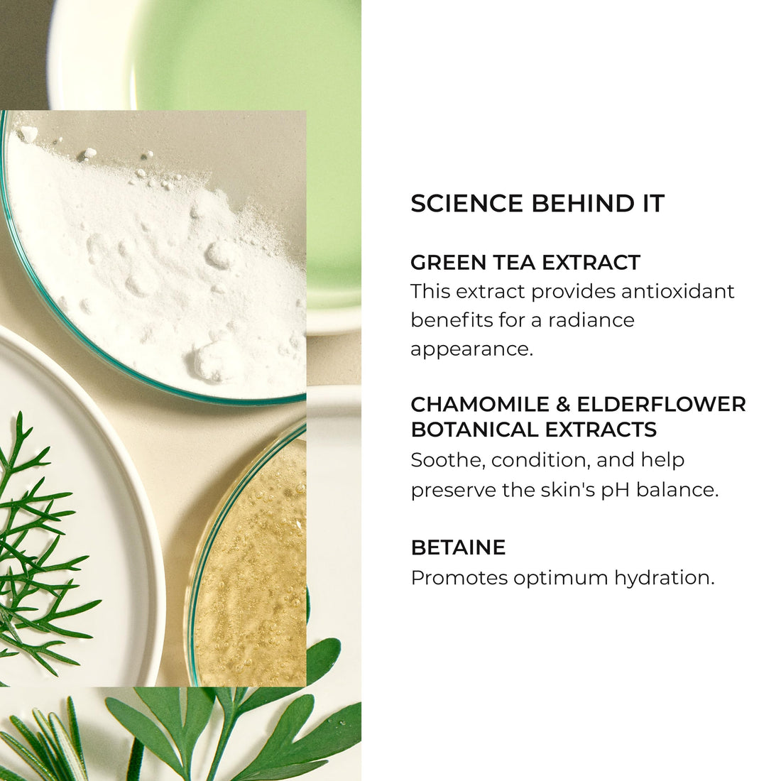 Natura Bisse Tolerance Cleanser, 5.3 Fl. Oz.