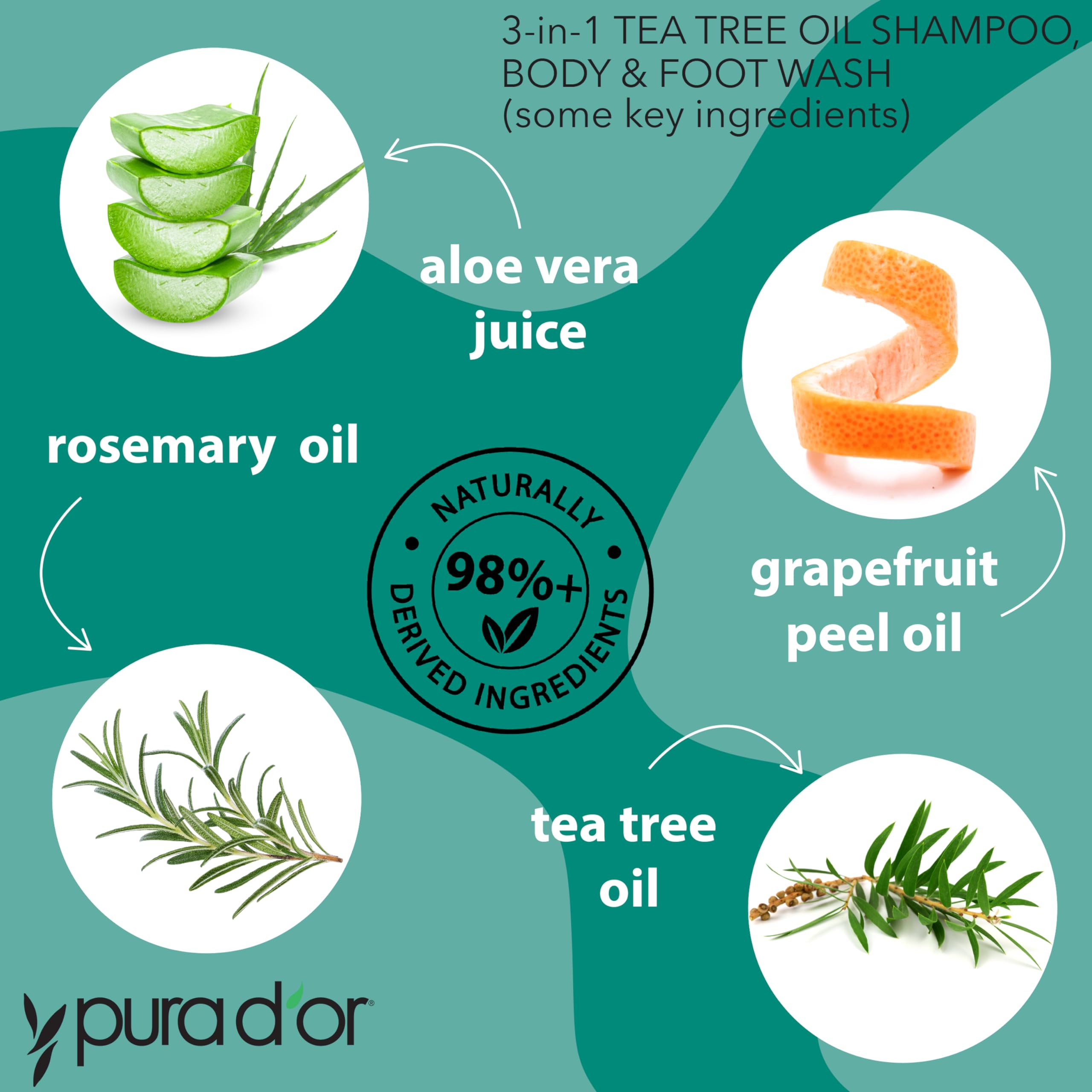 PURA D'OR 16 Oz 3-in-1 Tea Tree Shampoo, Body & Foot Wash, Shampoo - Total Body Care - Foot Odor & Daily Hygiene, Cleansing Routine, Post-Workout Refreshment - Soothes, Invigorates, Nourishes