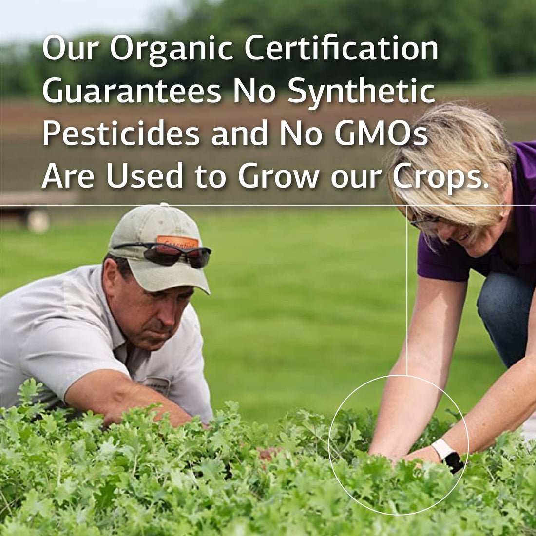 Standard Process Inc. Magnesium Lactate - Supplement for Cell Energy, Muscle & Bone Support - Heart & Nervous System Support - Bioavailable & Absorbable Form of Magnesium - 90 Capsules