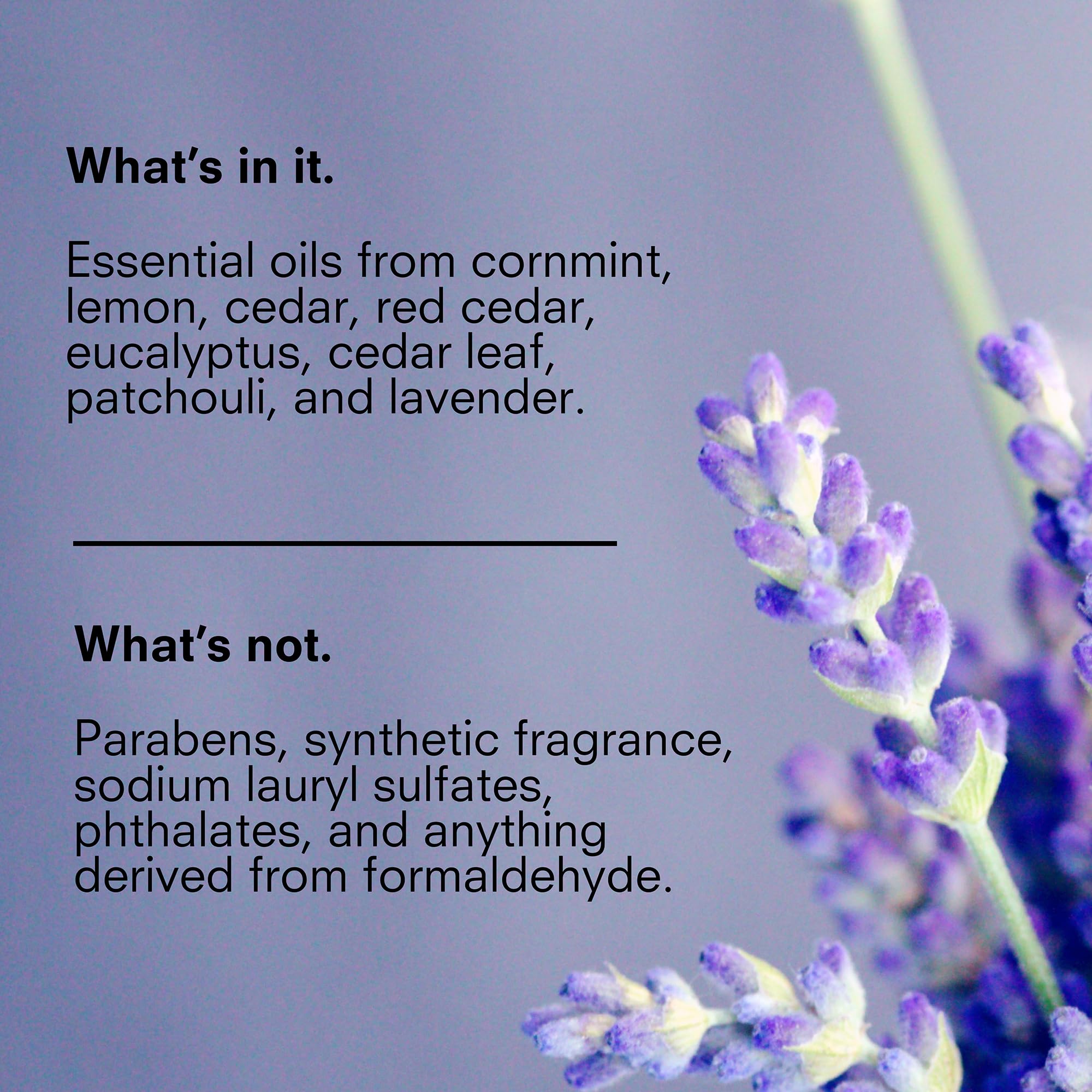 Public Goods Body & Hand Lotion for Women & Men | Natural Moisturizing Daily Lotion for Dry & Itchy Skin | Paraben & Sulfate Free | Made with Organic Essential Oils | Made in Canada | 34 Fl Oz Refill