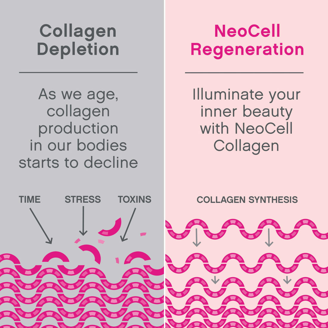 NeoCell Marine Collagen With Collagen Type 1 and 3 and Hyaluronic Acid, With Hydrolyzed Collagen, Skin Health Supplement, Capsule, 120 Count, 1 Bottle
