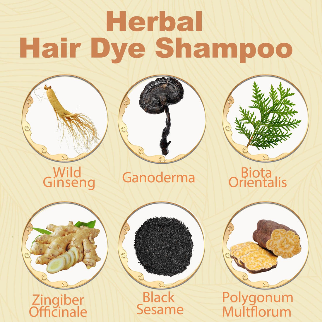 Herbal Instant 3-in-1 Long-Lasting Brown Hair Color Shampoo for Gray Hair Cover for Women & Men - 16.90 Fl OZ (Dark Brown)