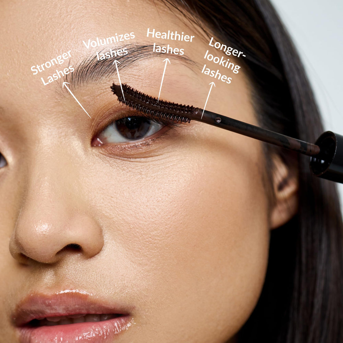 Lipocils Mascara - Talika - Mascara that Stimulates Eyelash Growth - +29% Length - Eyelash Care - Brown