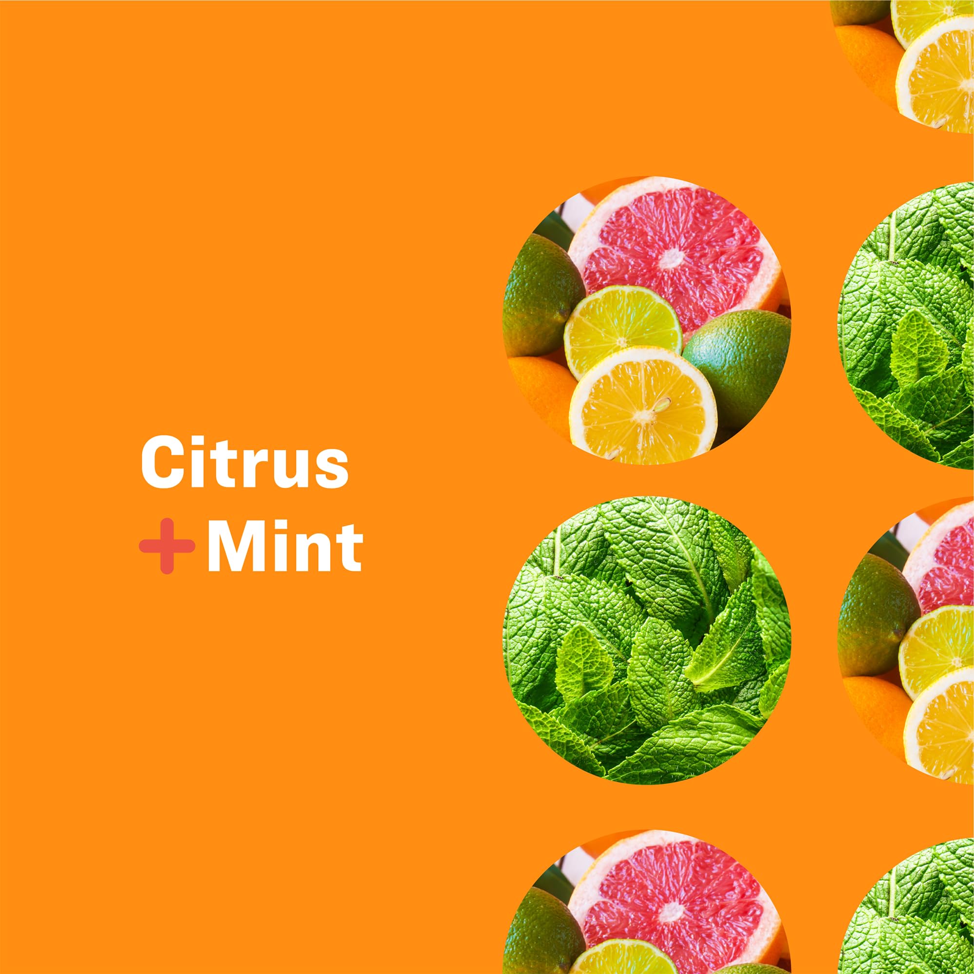 Everyone 3-In-1 Soap, Citrus plus Mint, 32 oz, 2 Count