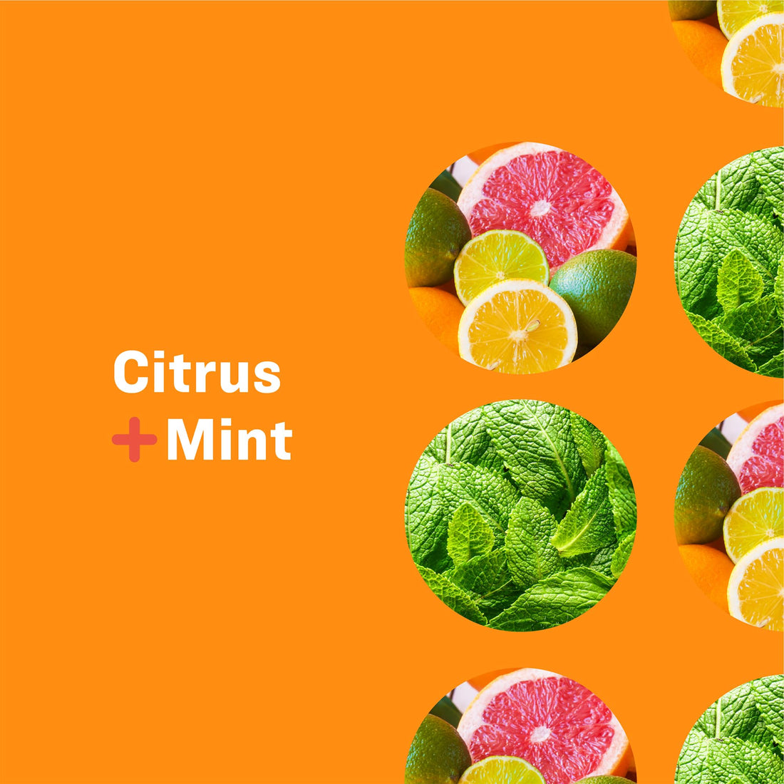 Everyone 3-In-1 Soap, Citrus plus Mint, 32 oz, 2 Count