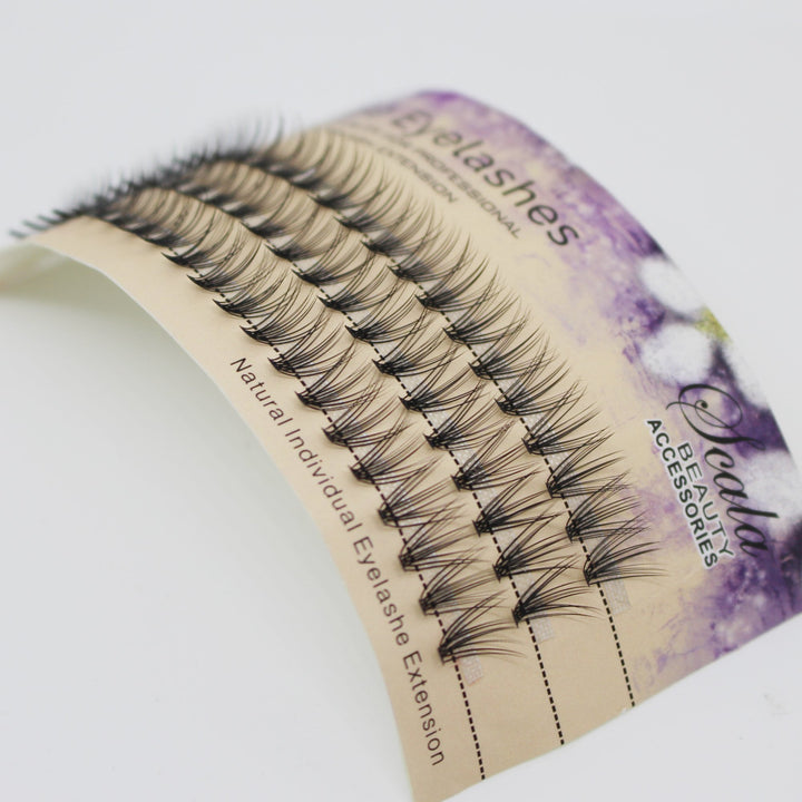 Dedila 10Mm: Scala Brand Beauty Natural Long 20 Root 0.07 C Curl 3D Profession Individual Eyelashes Extension Soft Black Fake False Eye Lashes Tools (10Mm)