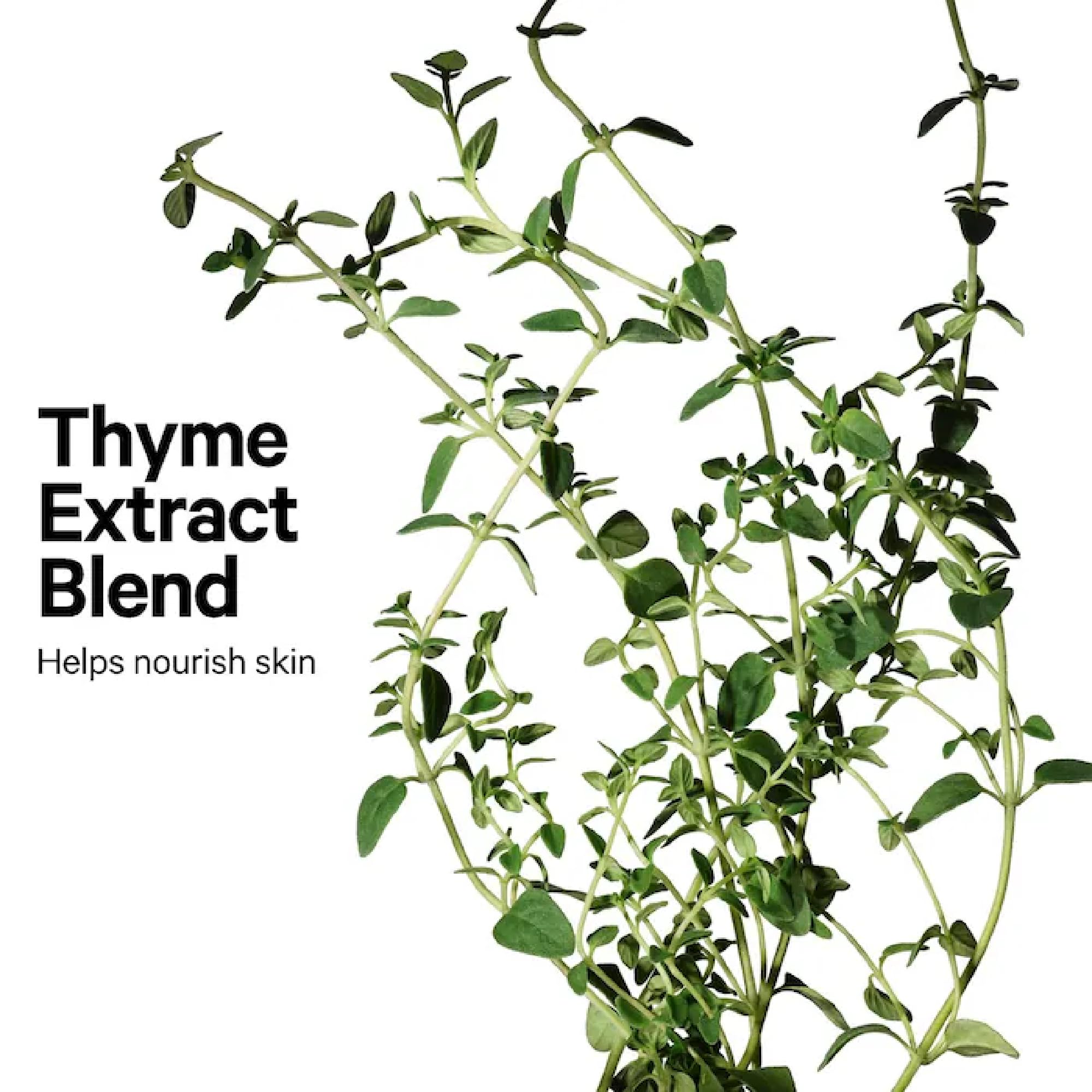 Milk Makeup Sculpt Stick – Cool-Toned Cream Contour Stick with Thyme Extract + Mango Butter – Hydrating, Buildable Formula Adds Depth + Dimension – Toasted (Fair to Light), 0.19 oz