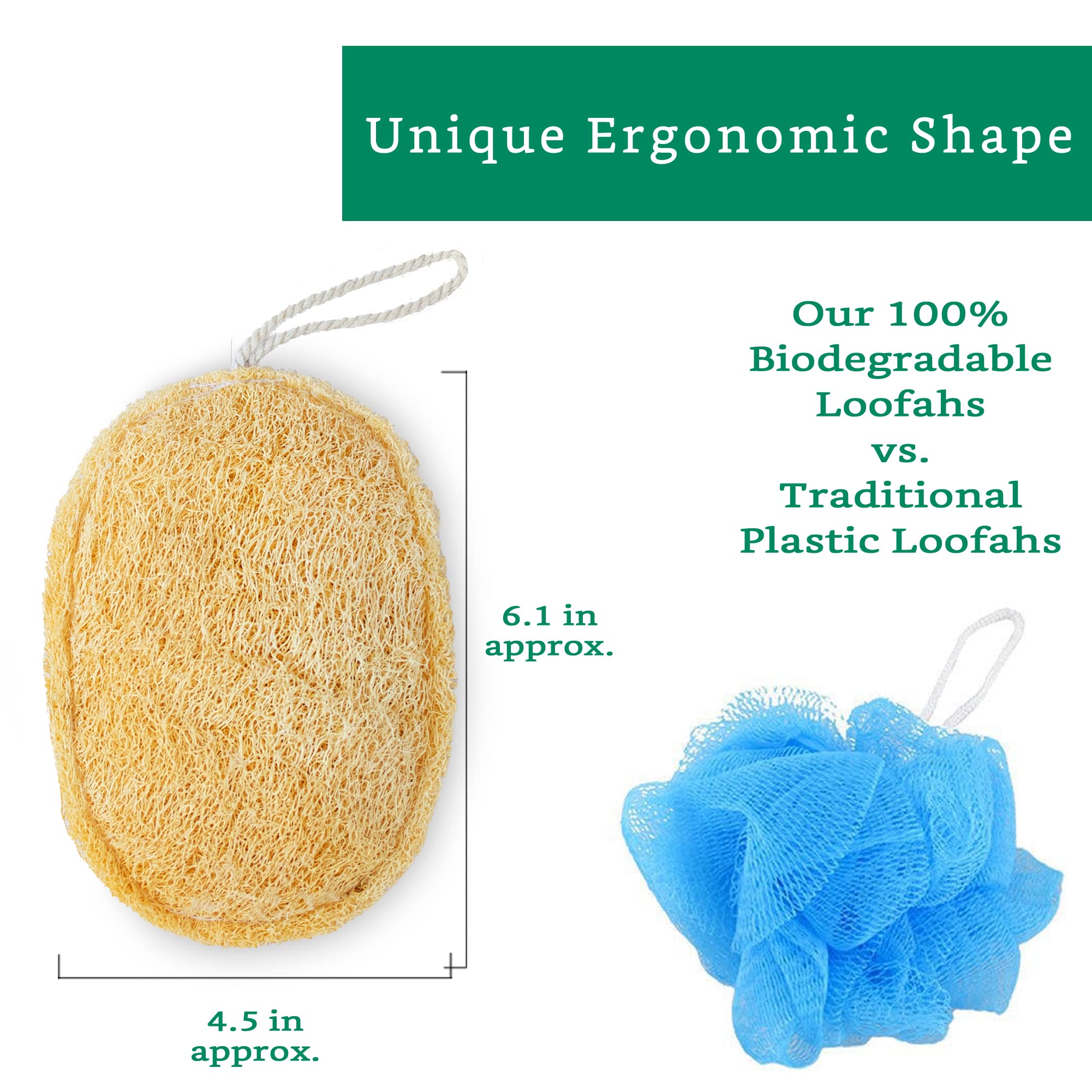100% Natural Loofah Exfoliating Sponge (3 Pack) - Loofah Body Scrubber - Loofah Sponge - Organic Loofah Pad - Exfoliating Body Sponge - Biodegradable Loofah - Bath Luffa Sponges - Exfoliating Loofah