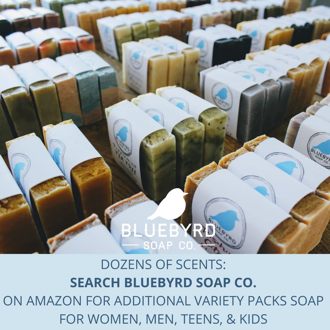 Bluebyrd Soap Co. Boardwalk Soap Bar for Kids | Handmade Artisan Soap Bar for Kids & Teens | Sea Salt Beach | Organic Olive Oil Soap, Organic Shea Butter | Vegan Natural Body Wash (Boardwalk)