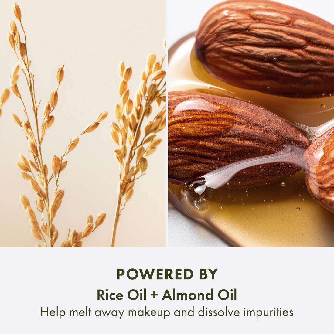 Origins Checks and Balances Milky Oil Cleanser + Makeup Melter | Softens Skin & Removes Makeup | With Squalane & Plant-Derived Glycerin, 5 Fl Oz