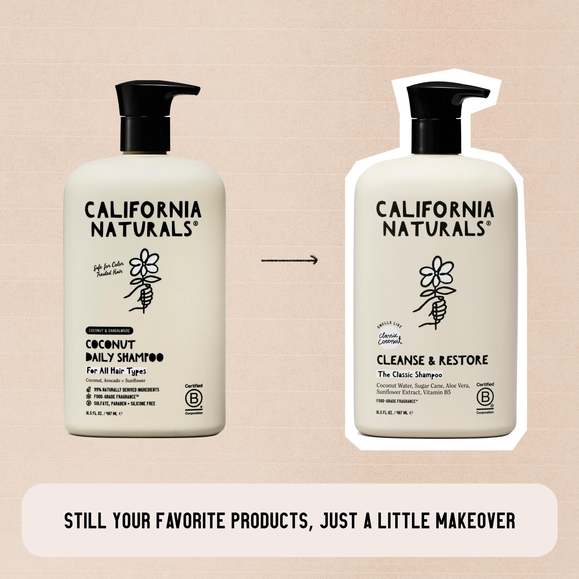 California Naturals Shampoo, Scalp and Hair Care for Women and Men, Coconut Cleansing Complex, Natural, Vegan, Cruelty, Silicone, Paraben, and Sulfate Free Shampoo, All Hair Types, 16.5 fl oz