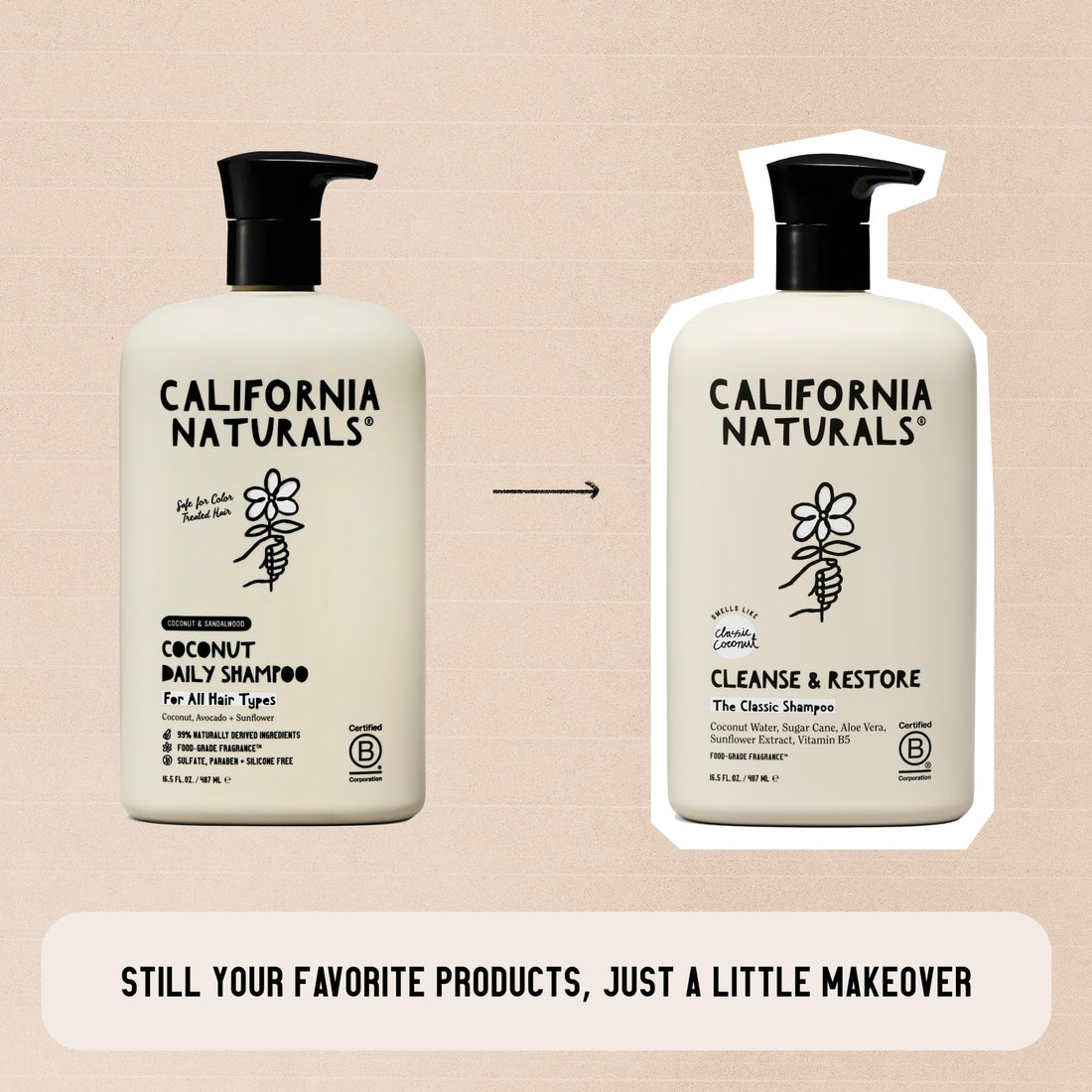 California Naturals Shampoo, Scalp and Hair Care for Women and Men, Coconut Cleansing Complex, Natural, Vegan, Cruelty, Silicone, Paraben, and Sulfate Free Shampoo, All Hair Types, 16.5 fl oz