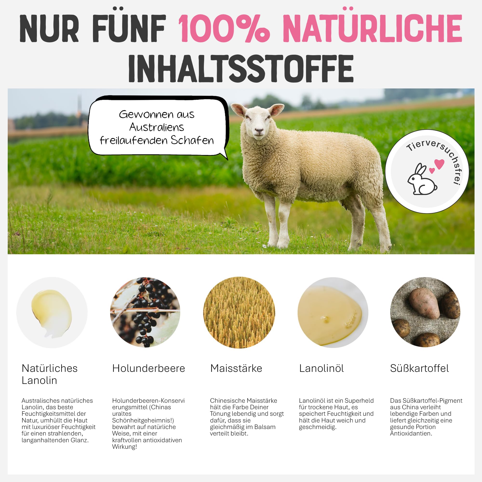 Dr. Lipp Superfood Lip Tint Sweet Potato 8ml – 4-in-ONE Ultra Moisturising Tinted Lip Balm, Lip Gloss, Cheek Blush & Glossy Eyeshadow – 100% Natural – Fragrance & Cruelty Free