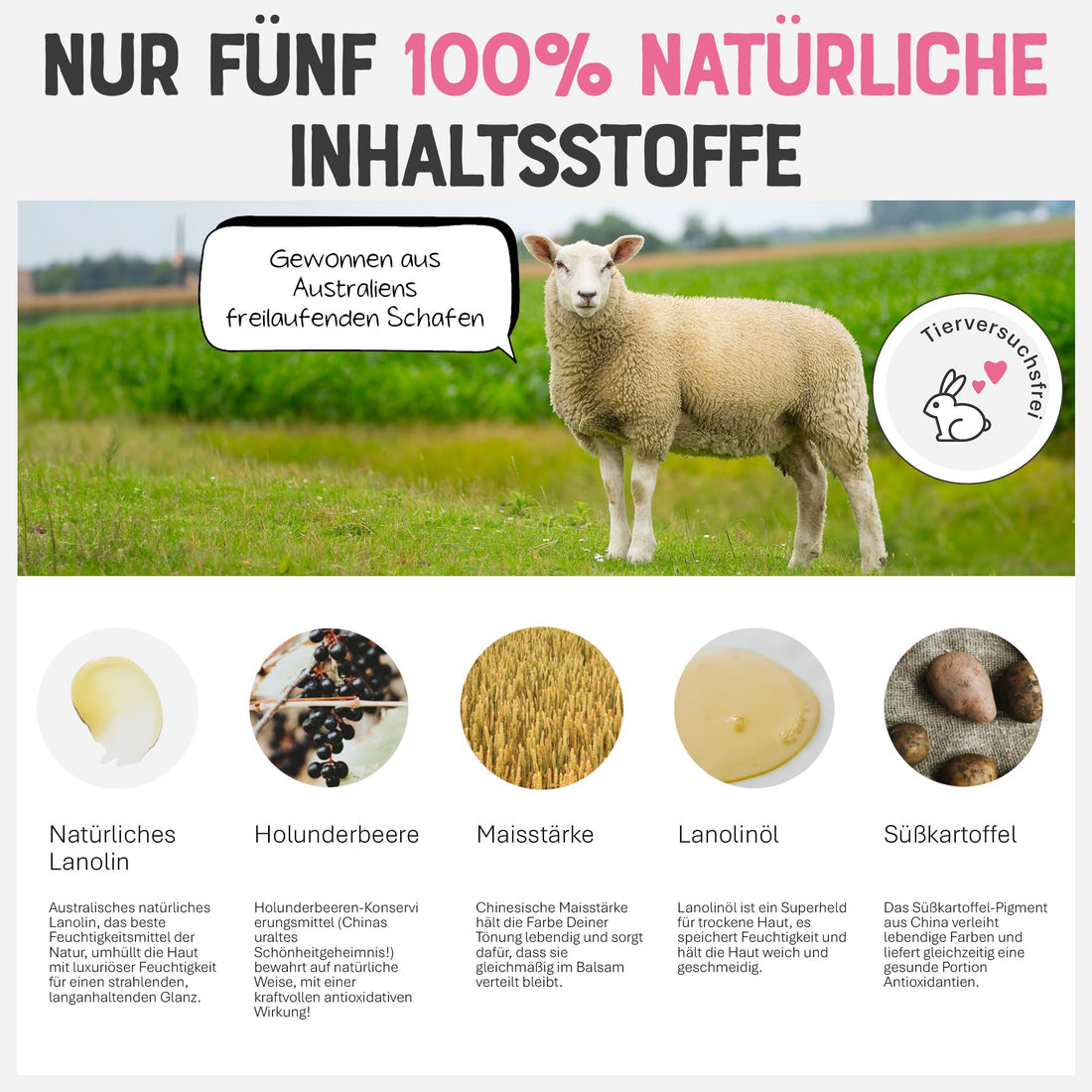 Dr. Lipp Superfood Lip Tint Sweet Potato 8ml – 4-in-ONE Ultra Moisturising Tinted Lip Balm, Lip Gloss, Cheek Blush & Glossy Eyeshadow – 100% Natural – Fragrance & Cruelty Free