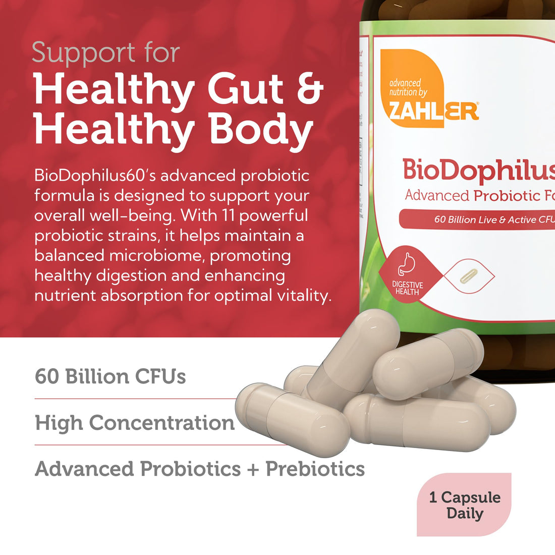 Zahler BioDophilus60, 60 Billion CFU Probiotic + Prebiotic - 11 Strains Daily Probiotic Supplement - Kosher Probiotics for Women for Digestive Health, Probiotics for Men for Gut Health (60 Capsules)