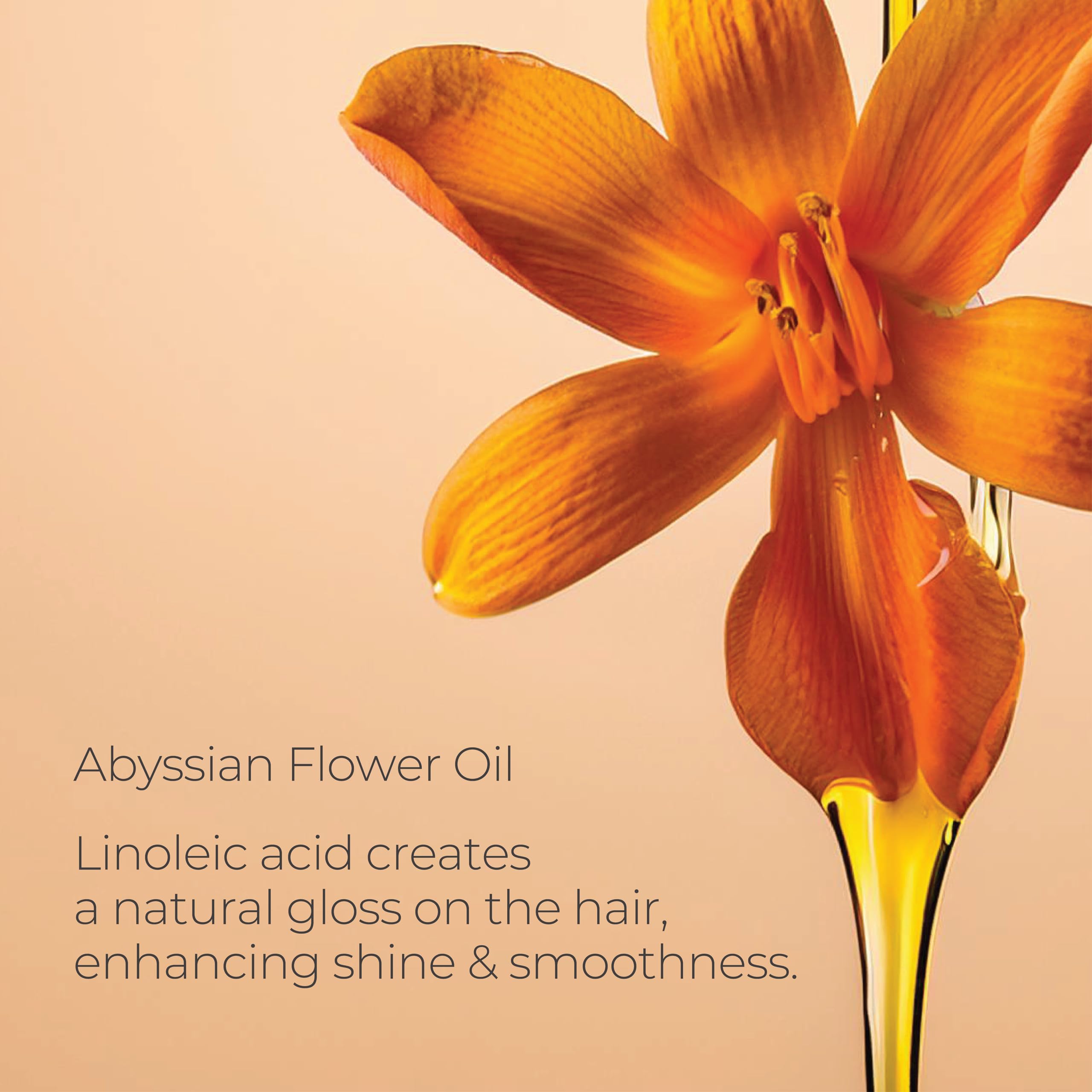 L'ANZA Keratin Healing Oil Hair Treatment, Hair Oil Revives & Nourishes Dry Damaged Hair & Scalp, Sulfate Free with Phyto IV Complex, Cruelty Free Volumizing Hair Care with UV Protection (1.7 Fl Oz)