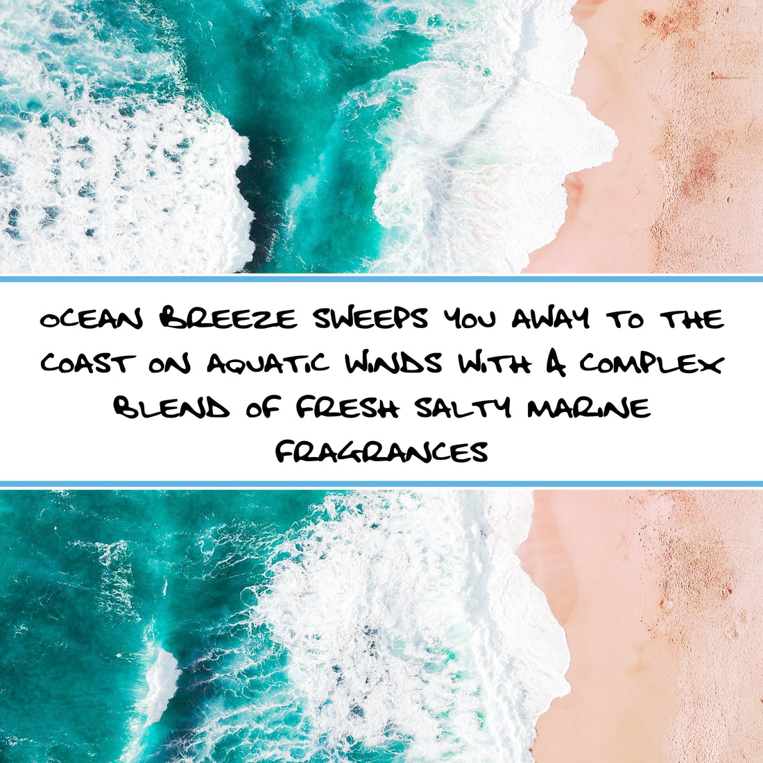 Bluebyrd Soap Co. Ocean Breezes Bar Soap | Sea Salt Scented Handmade Cold Process Bar Soaps | Organic Coconut Oil, Turmeric, Shea Butter, Sustainable Palm Oil (Ocean)