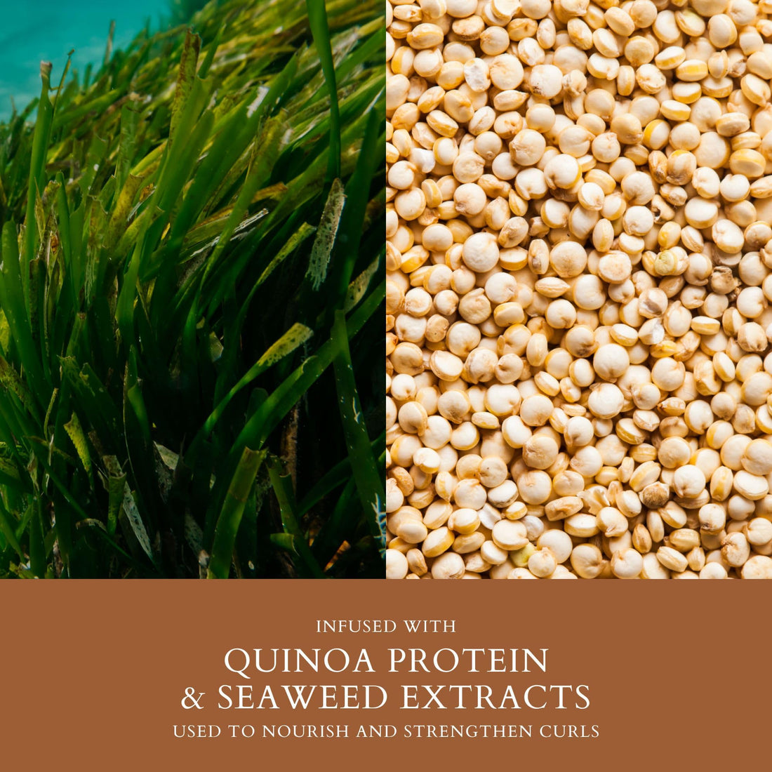 Smart Solutions Curl Nourishing Conditioner, 10 Ounce