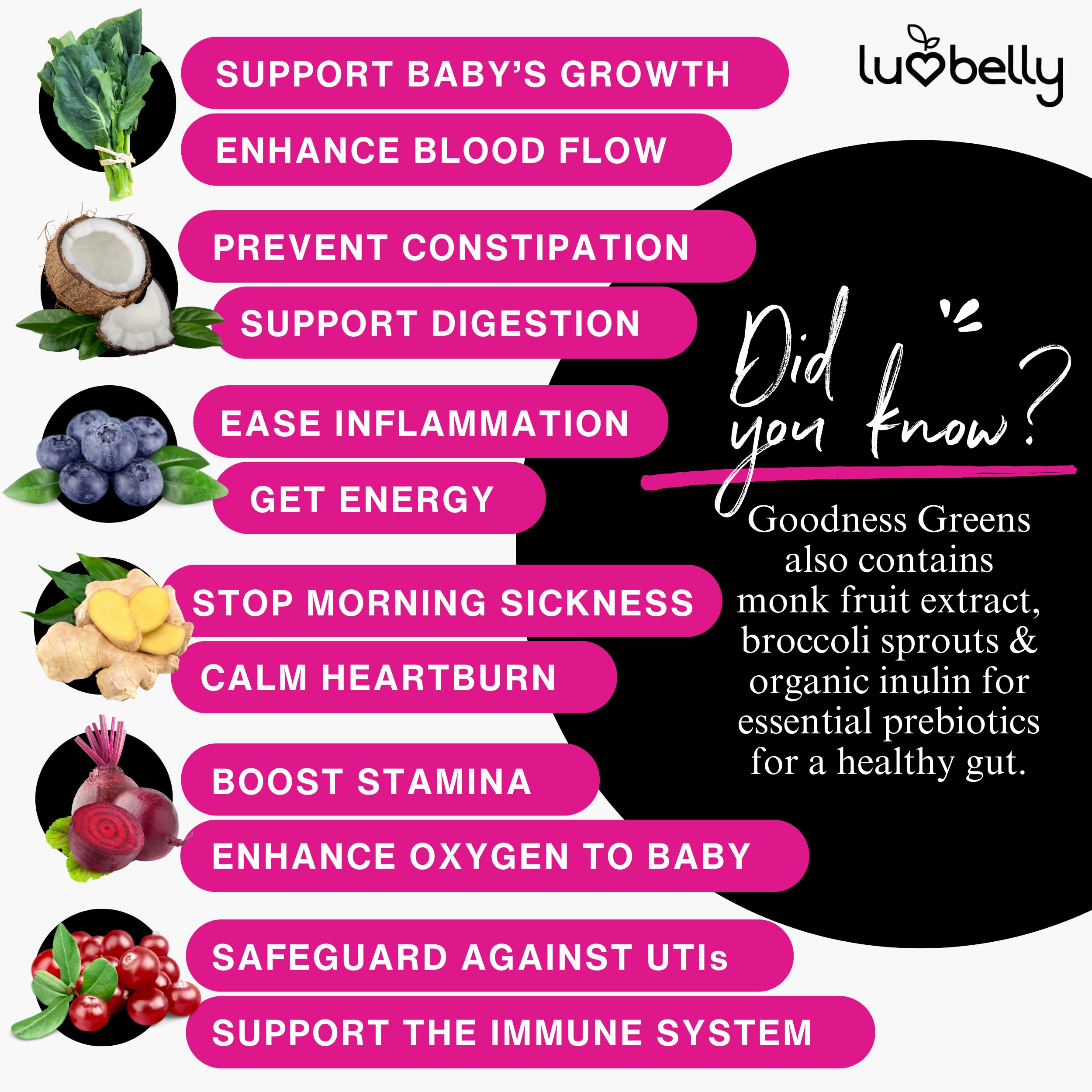 Greens for Pregnant Women - Safe Prenatal Greens Powder - OBGYN Approved Fertility & Pregnancy Supplements - Organic Pregnancy Green Powder - Yummy Prenatal Energy & Hydration Drink Mix - 24 Servings