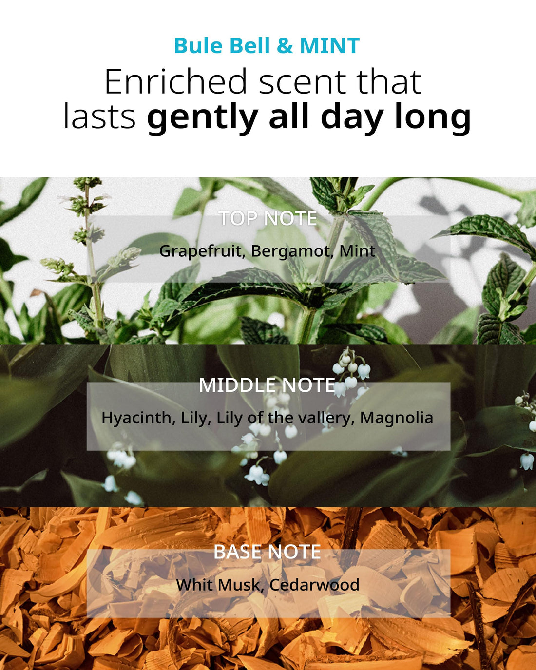 FIT YOUR SKIN SAN TTEUT Scalp Refreshment Hair Shampoo - pH 5.5 Keratin & Protein Perfumed Shampoo for Hair Loss Relief, Cooling, Exfoliating - Mint & White Musk Scent - Paraben Free - 17 fl.oz.