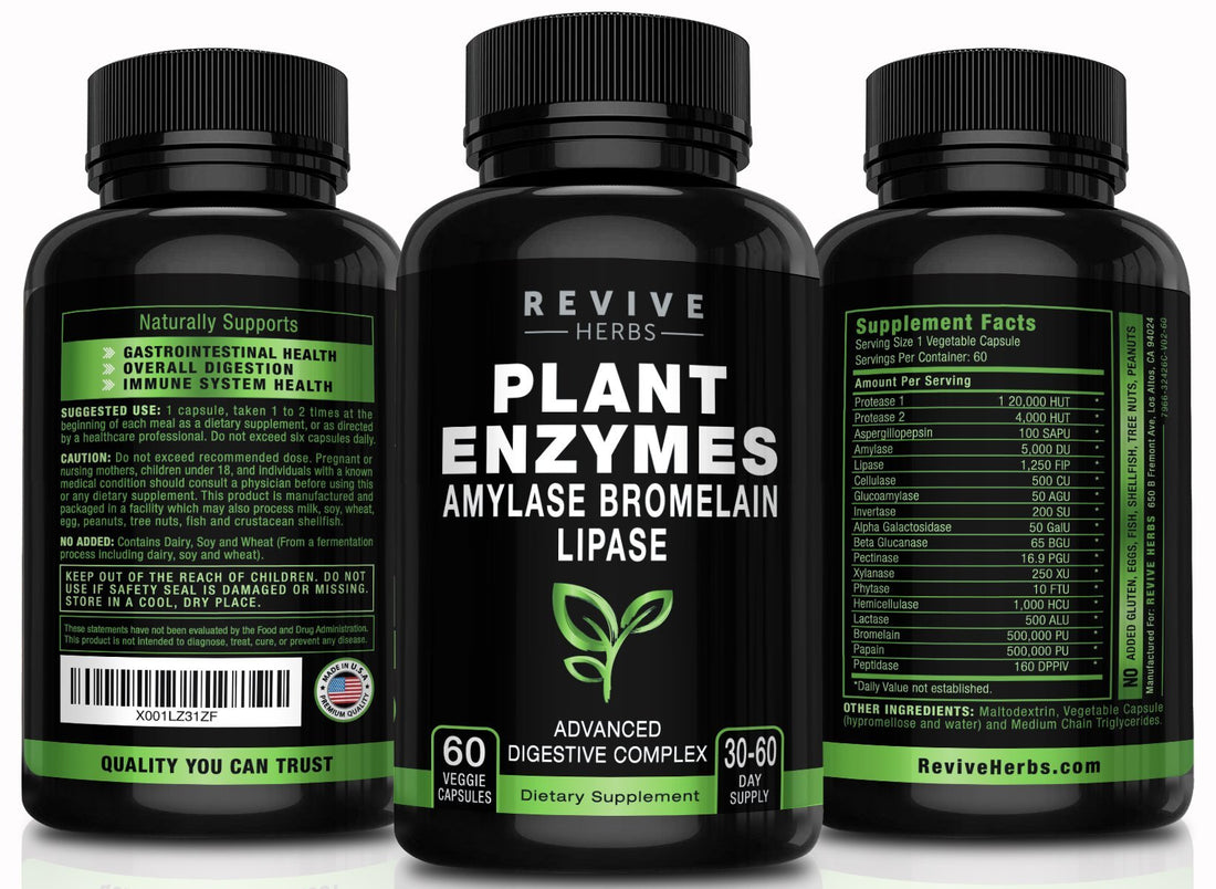 Revive Herbs Advanced Plant-Based Digestive Enzymes: Boost Gut & Immune Health with Aspergillopepsin, Amylase, Bromelain & More for Bloating Relief & Overall Digestion