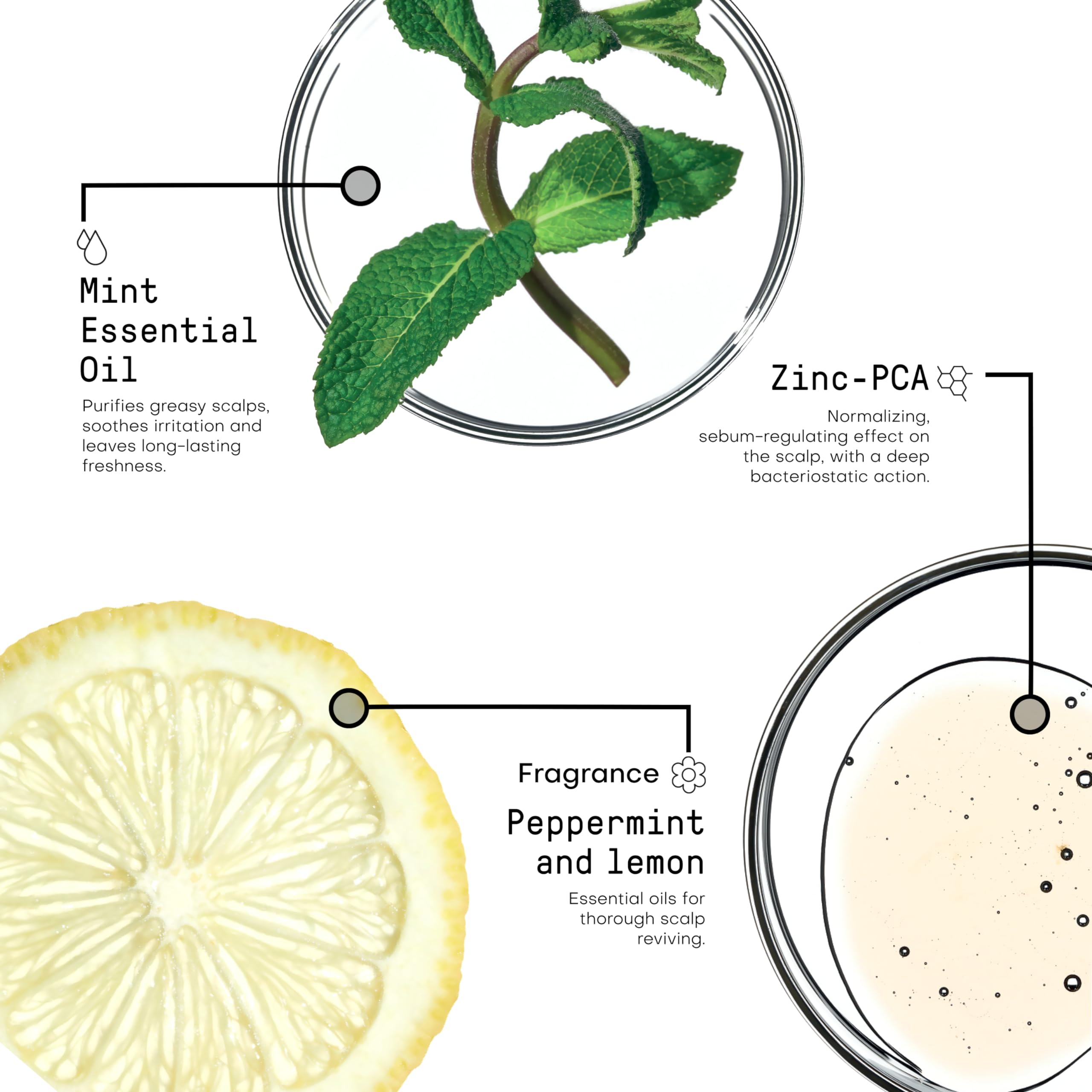 FRAMESI Morphosis Balance Shampoo 33.8 fl oz