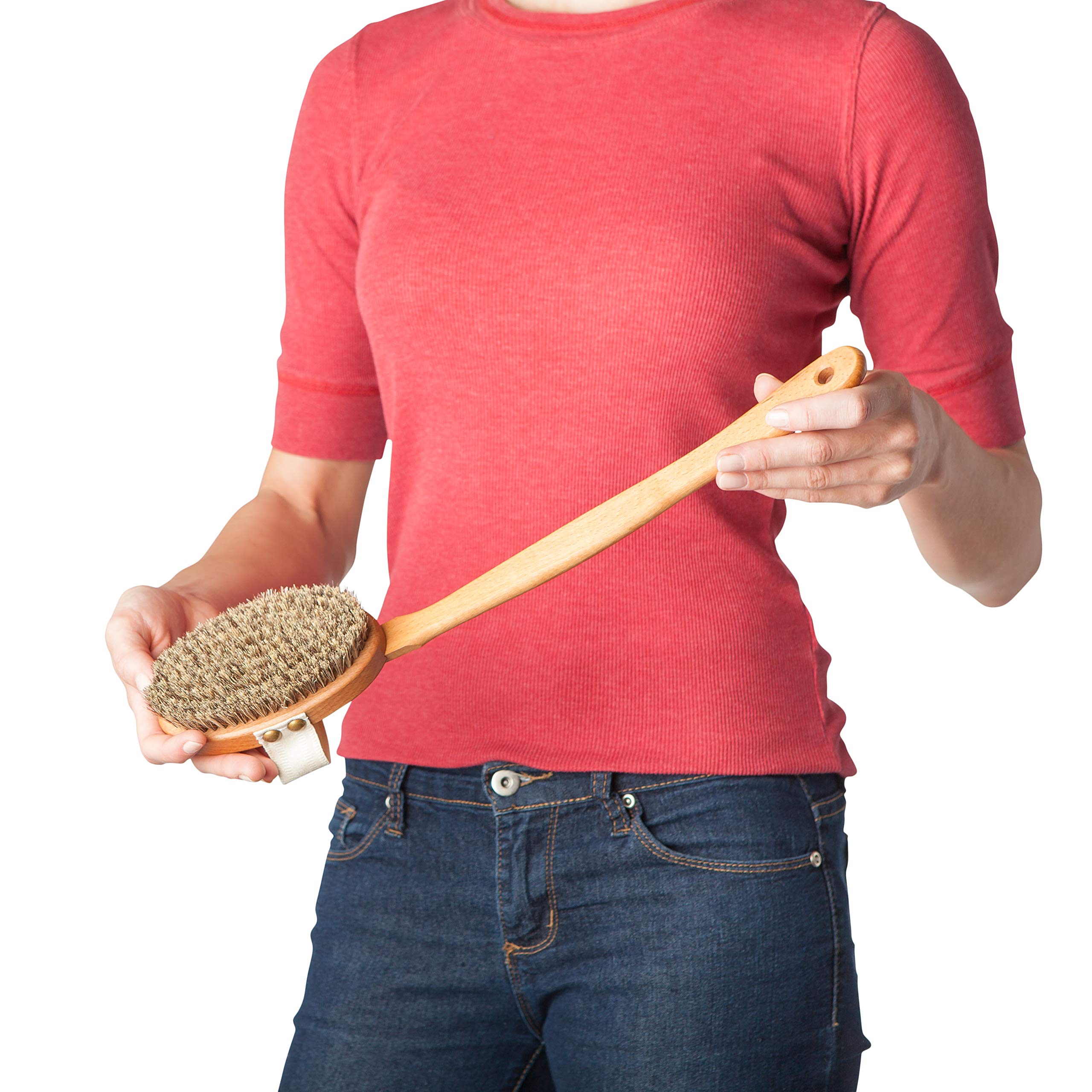 Steamed Beechwood with Horsehair/Fiber Bristles : Burstenhaus Redecker Wellfit Bath Brush with Removable Steamed Beechwood Handle and Mixed Horsehair and Plant Fiber Bristles, 17-1/2 Inches Long