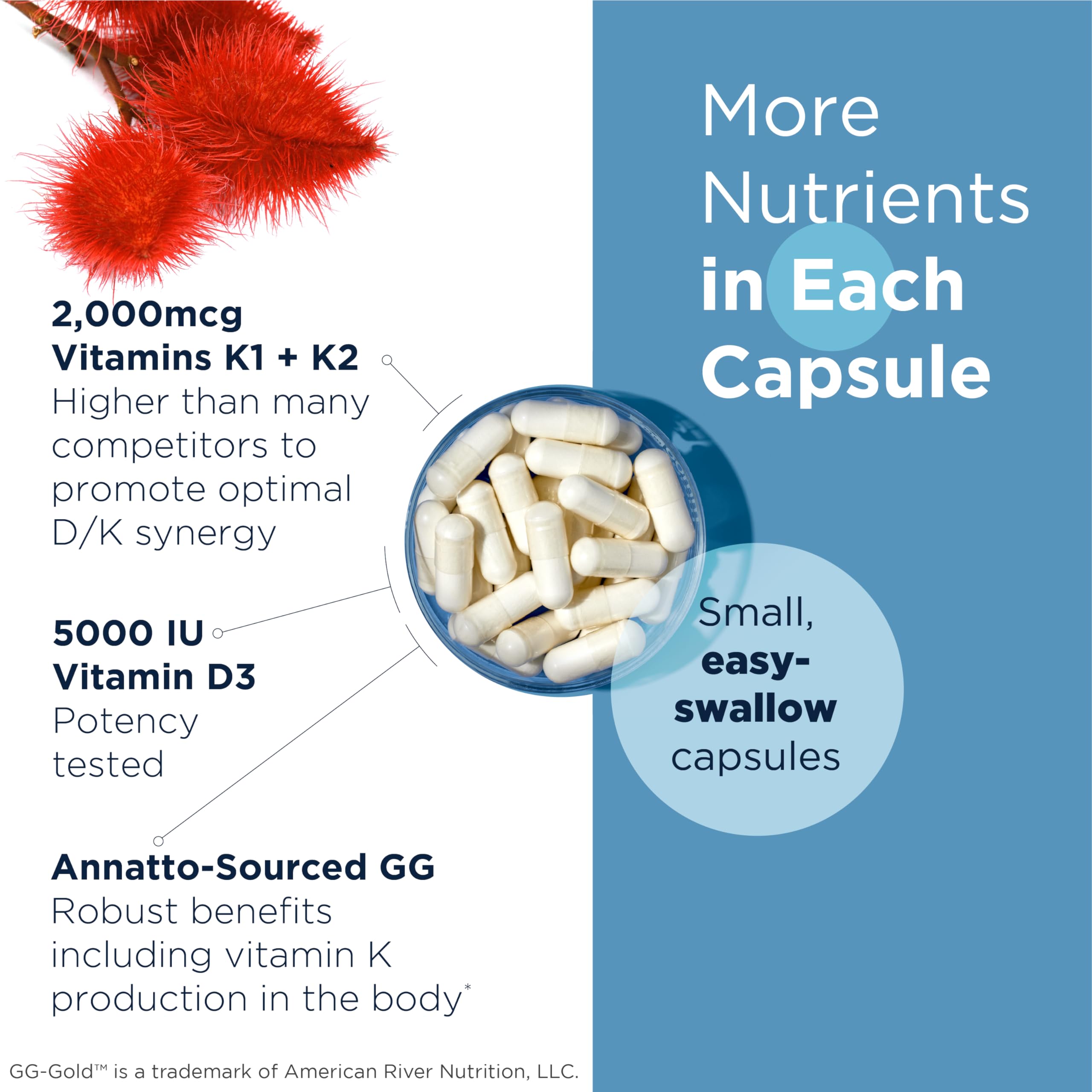 Designs for Health Vitamin D Supreme - Vitamin D 5000 IU with 2000mcg Vitamin K as MK4 for Bone Health, Heart Health & Immune Support - Vitamin D3 Enhanced with GG Supplement (180 Capsules)