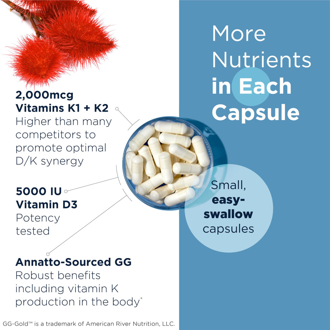 Designs for Health Vitamin D Supreme - Vitamin D 5000 IU with 2000mcg Vitamin K as MK4 for Bone Health, Heart Health & Immune Support - Vitamin D3 Enhanced with GG Supplement (180 Capsules)