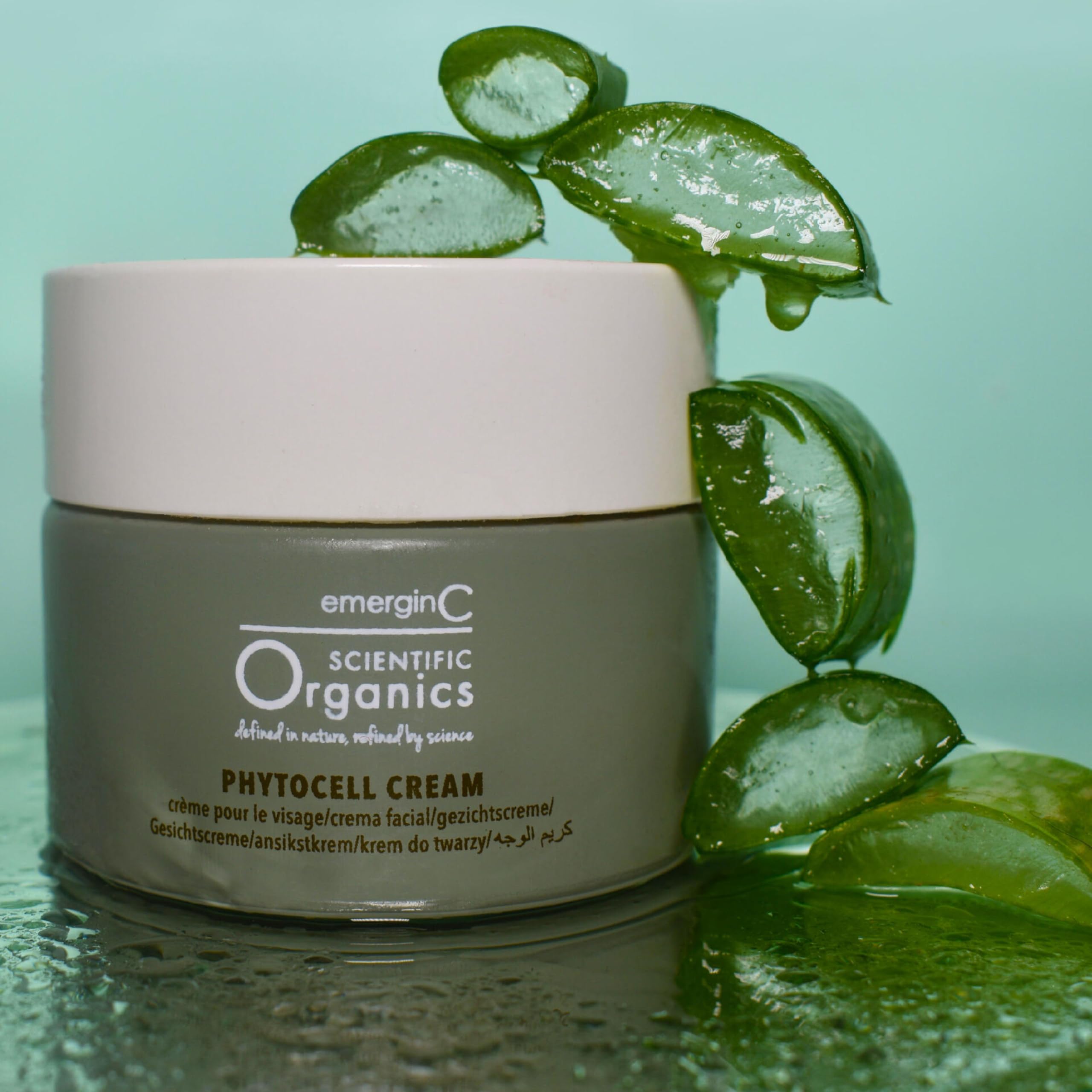 emerginC Scientific Organics - Phytocell Cream, Anti Aging Hydrating and Brightening Cream Infused with Grape Stem Cells for All Skin Types, 50ml / 1.6oz by EmerginC