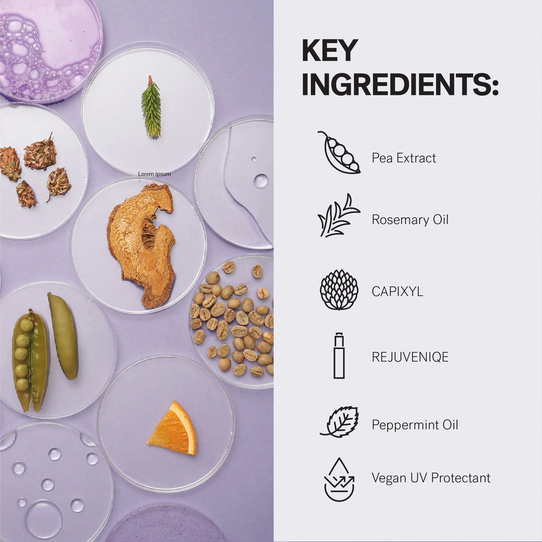 MONAT IR Clinical Thickening Shampoo – Volumizing Shampoo for Dense, Thick Strands – Thickening Solution Crafted from Powerful Blend of Natural Ingredients, With Rosemary & Mint And Pea Extract