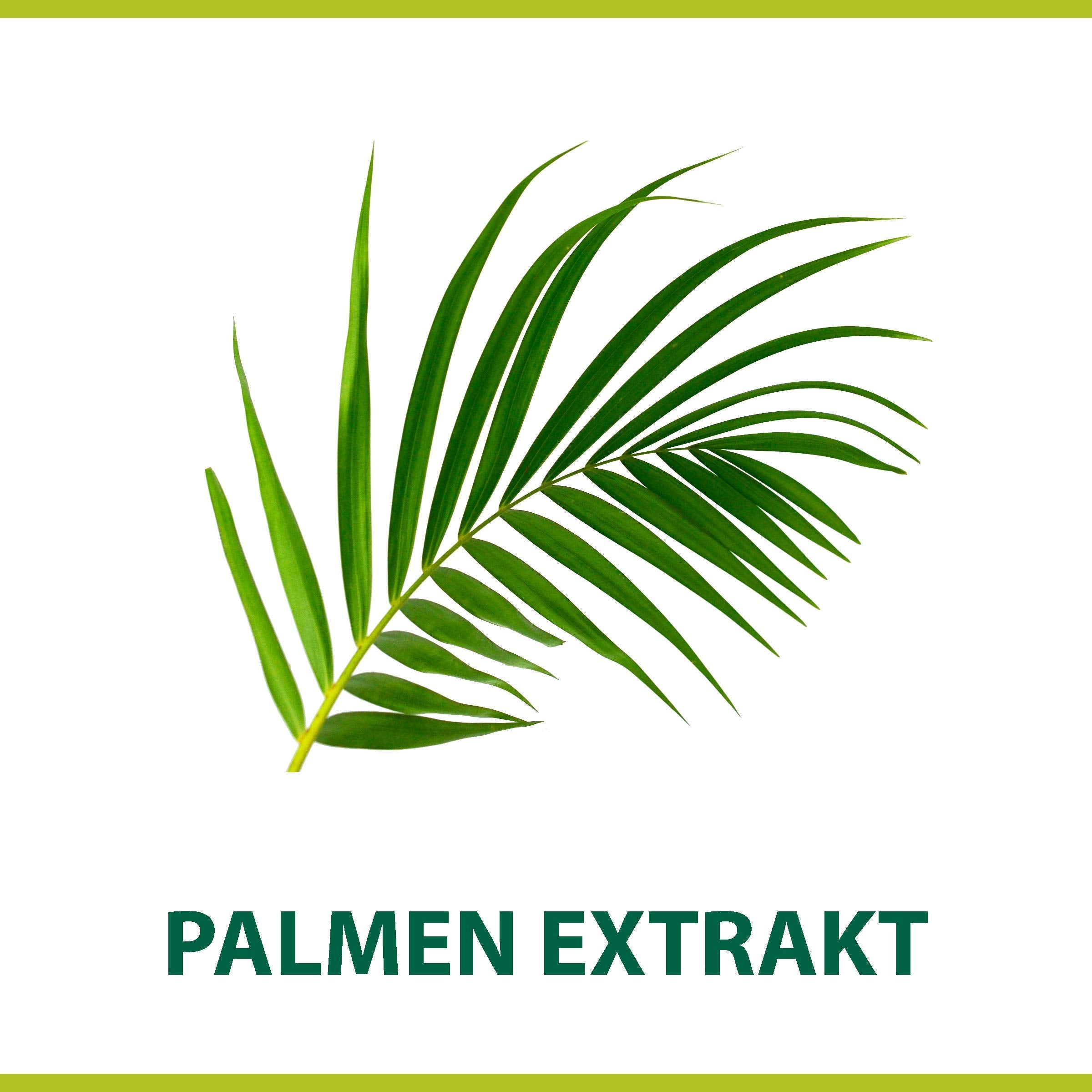 Palmolive Classic Shave Cream