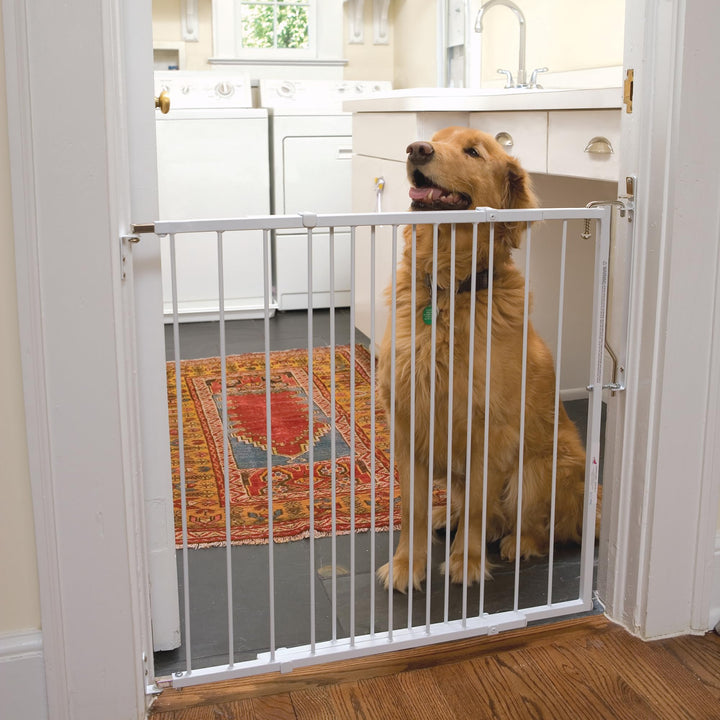 Cardinal Gates MG25 Duragate Baby Gate - Adjustable Dog Gate - Steel Safety Gate for Kids & Pets - 26.5 to 41.5 Inches Wide - White