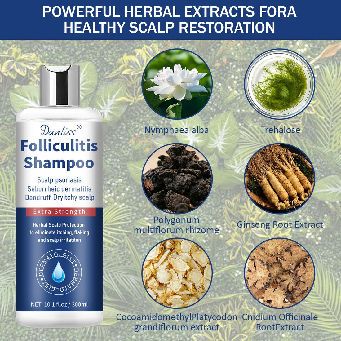 Sulfate Free - Anti Fungal Folliculitis Treatment Shampoo With Formula for Prone to Folliculitis,Seborrheic Dermatitis,For Normal to Oily Scalp Relieves Itchy & Dry Scalp, Dandruff - 10.1 Oz