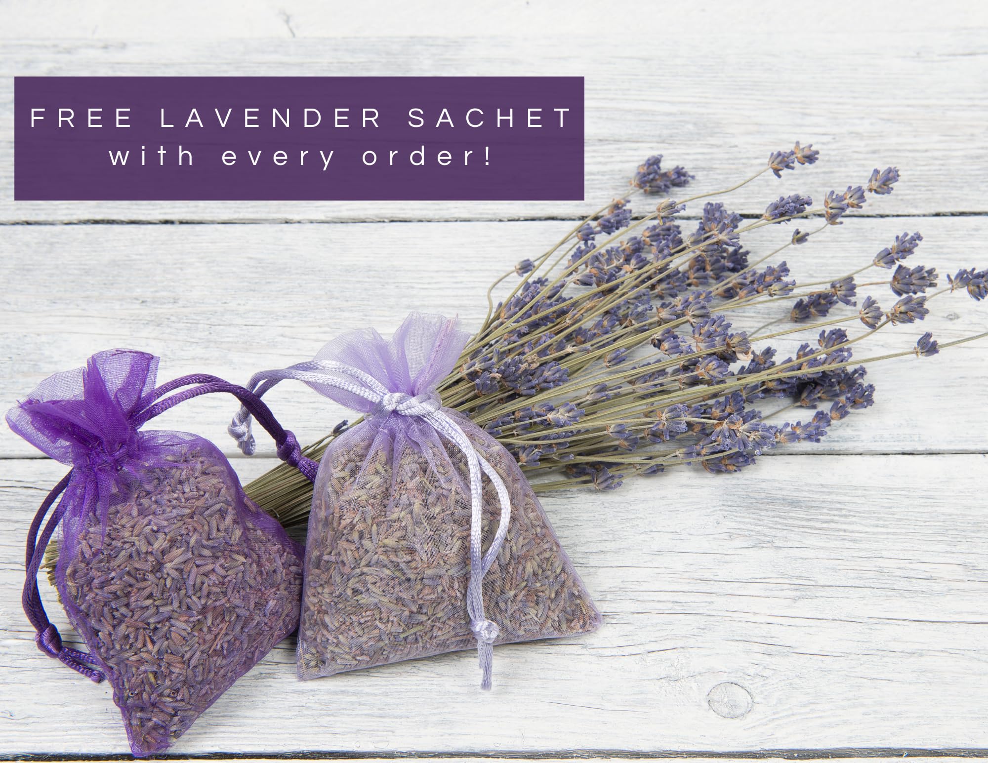 LAVENDER LANE Lavender Goat's Milk Hand & Body Lotion, 9 oz - USA Lavender Farm, Free Sachet Included, Organic Shea Butter, Organic Sunflower Oil.